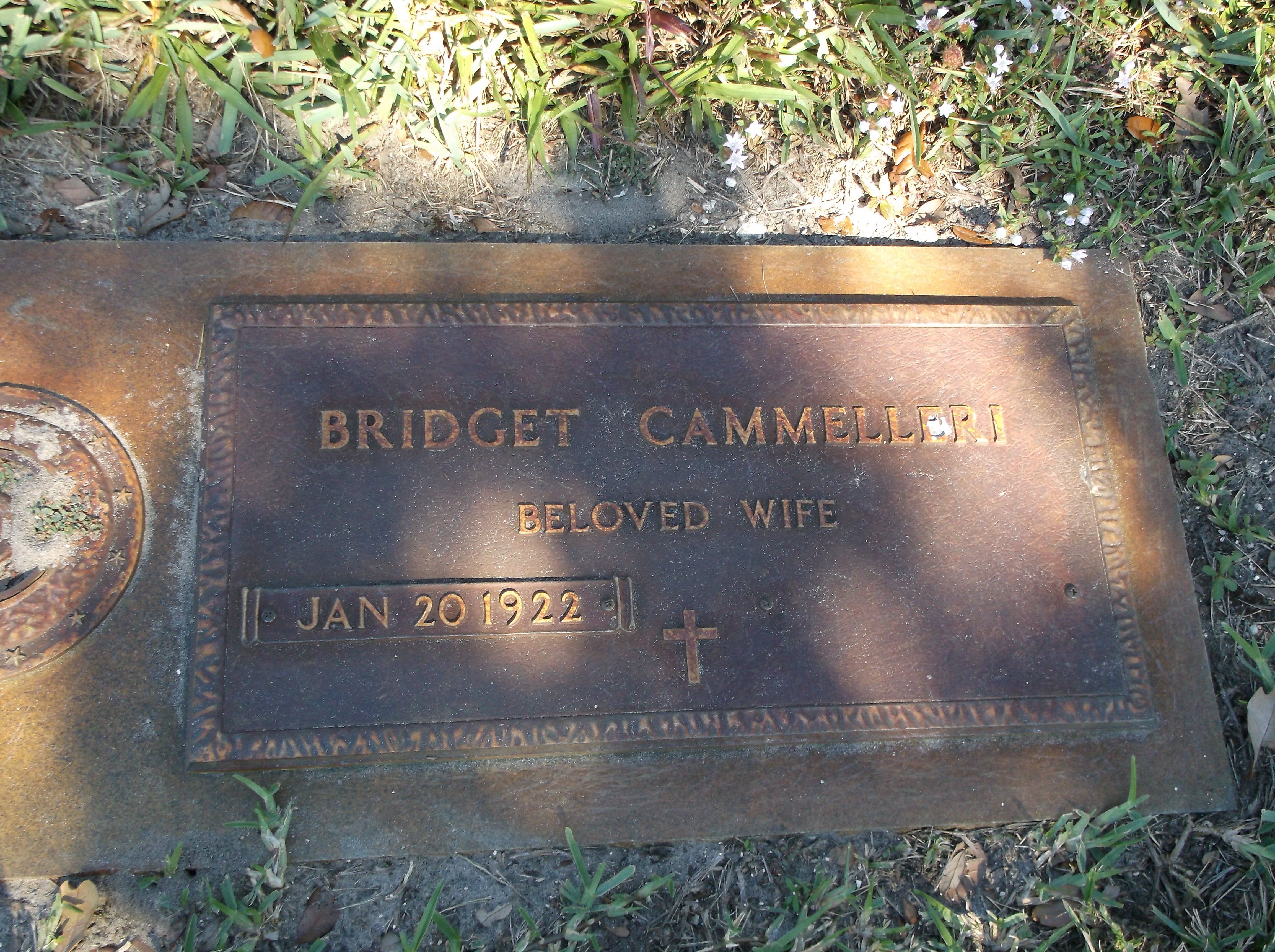 Bridget Cammelleri