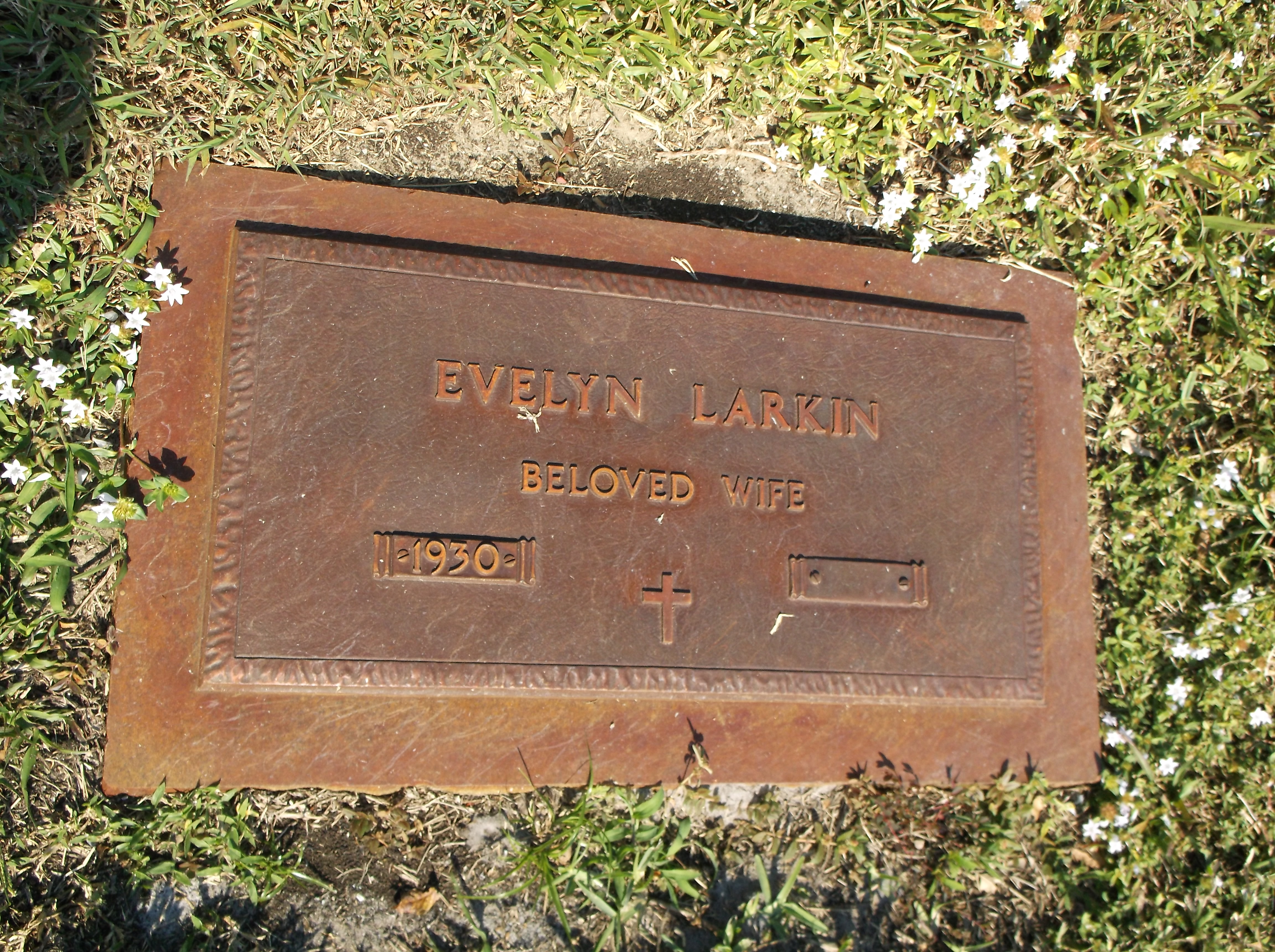 Evelyn Larkin