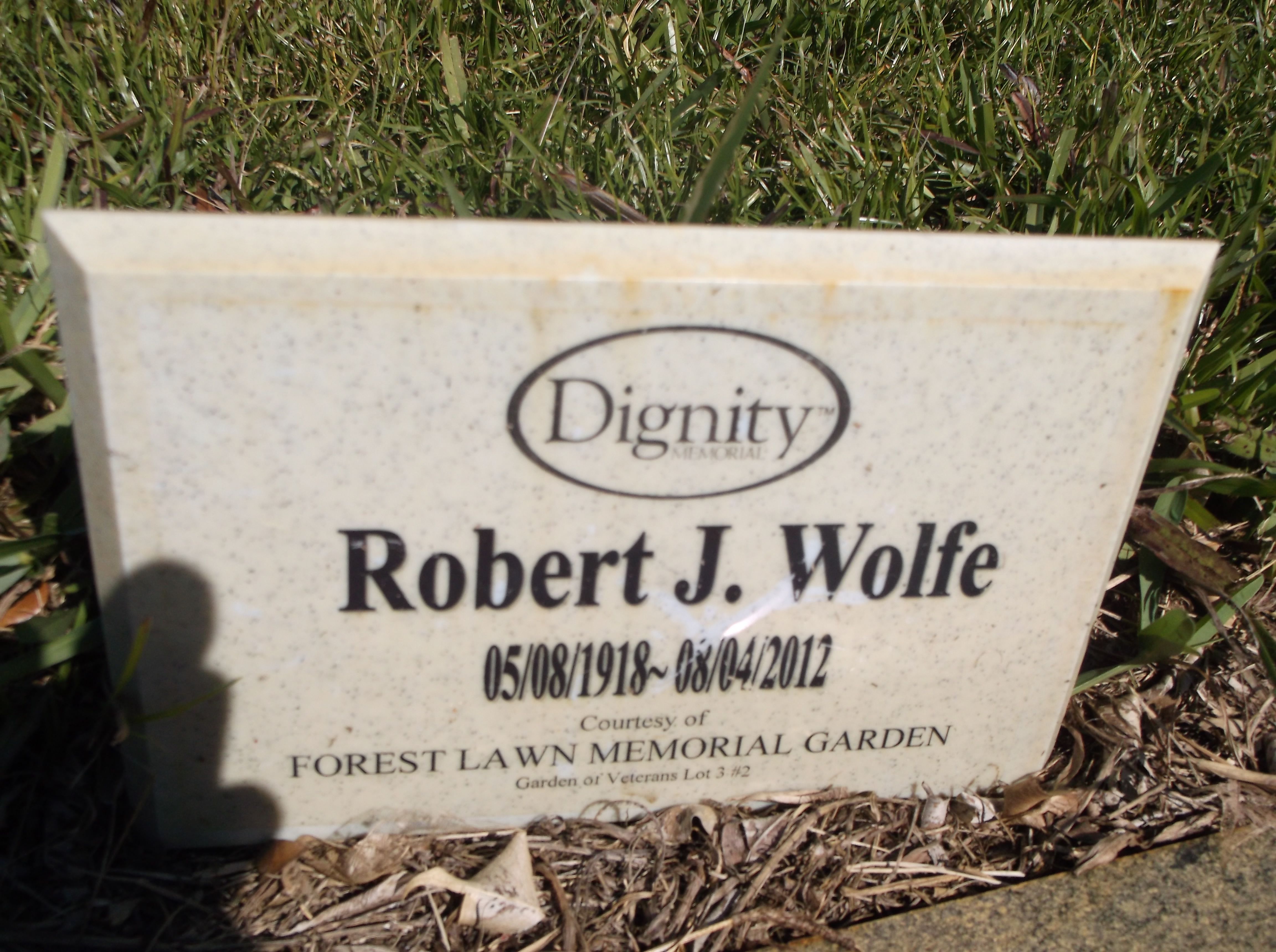 Robert J Wolfe