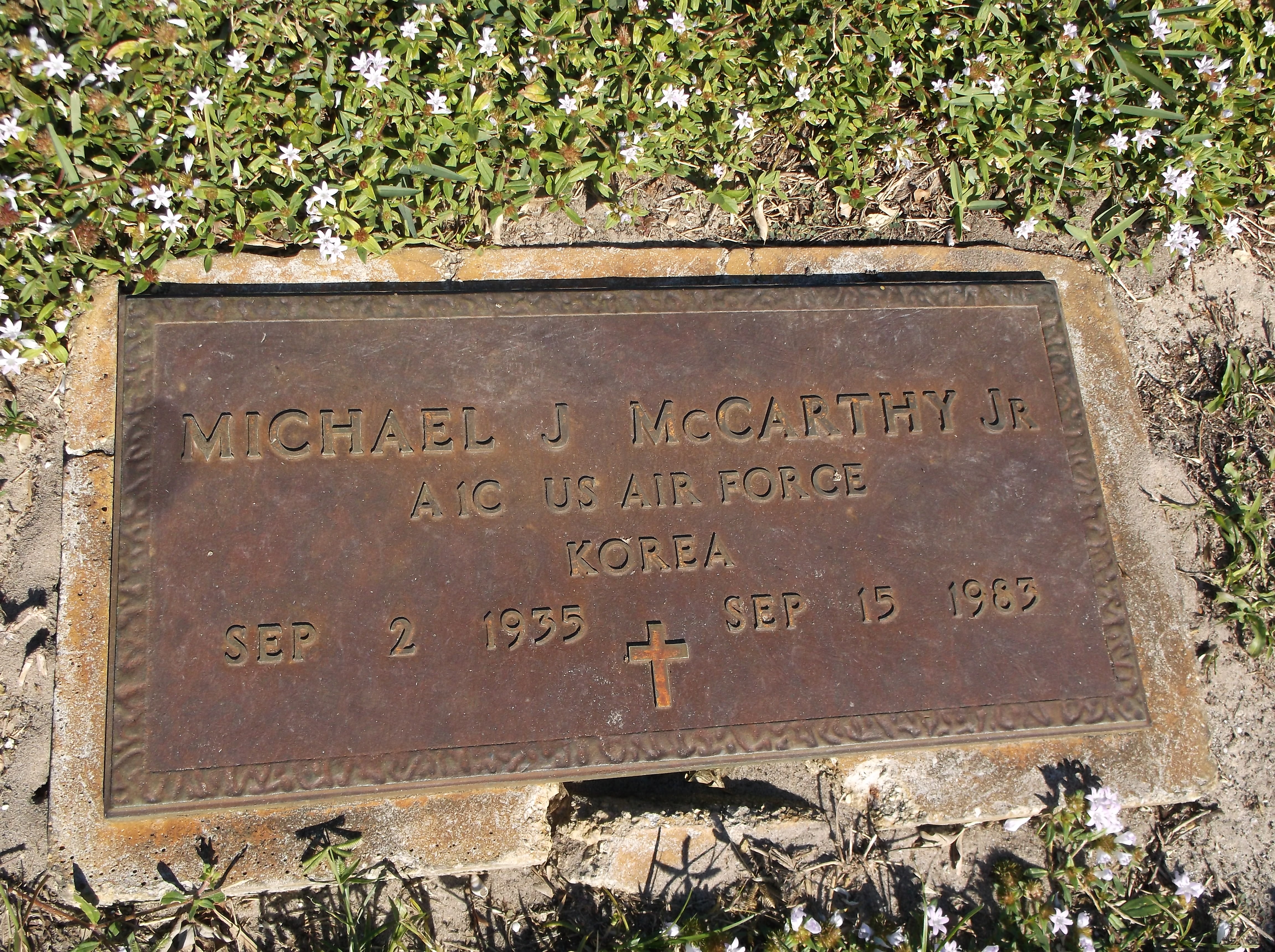 Michael J McCarthy, Jr