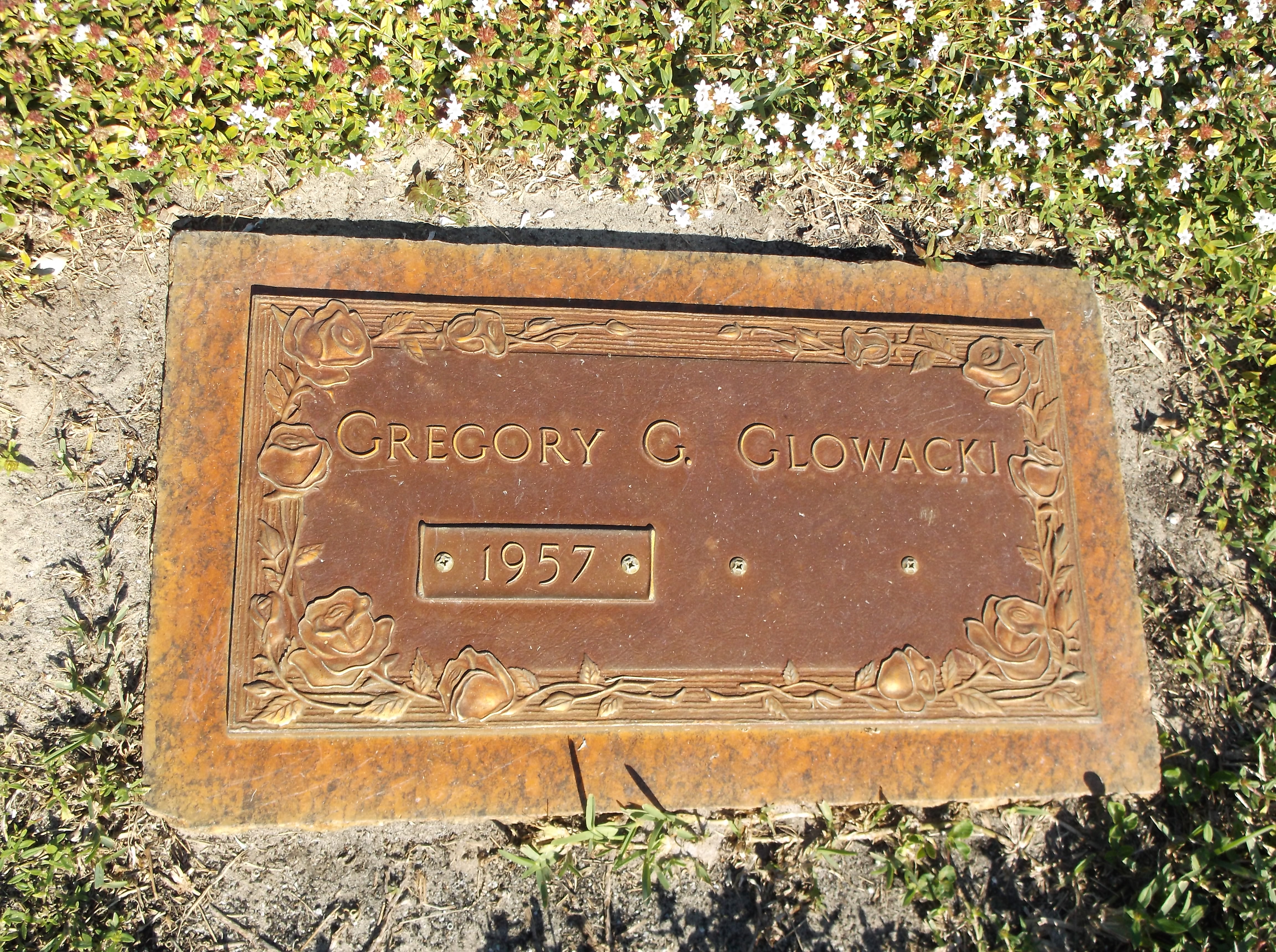 Gregory G Glowacki