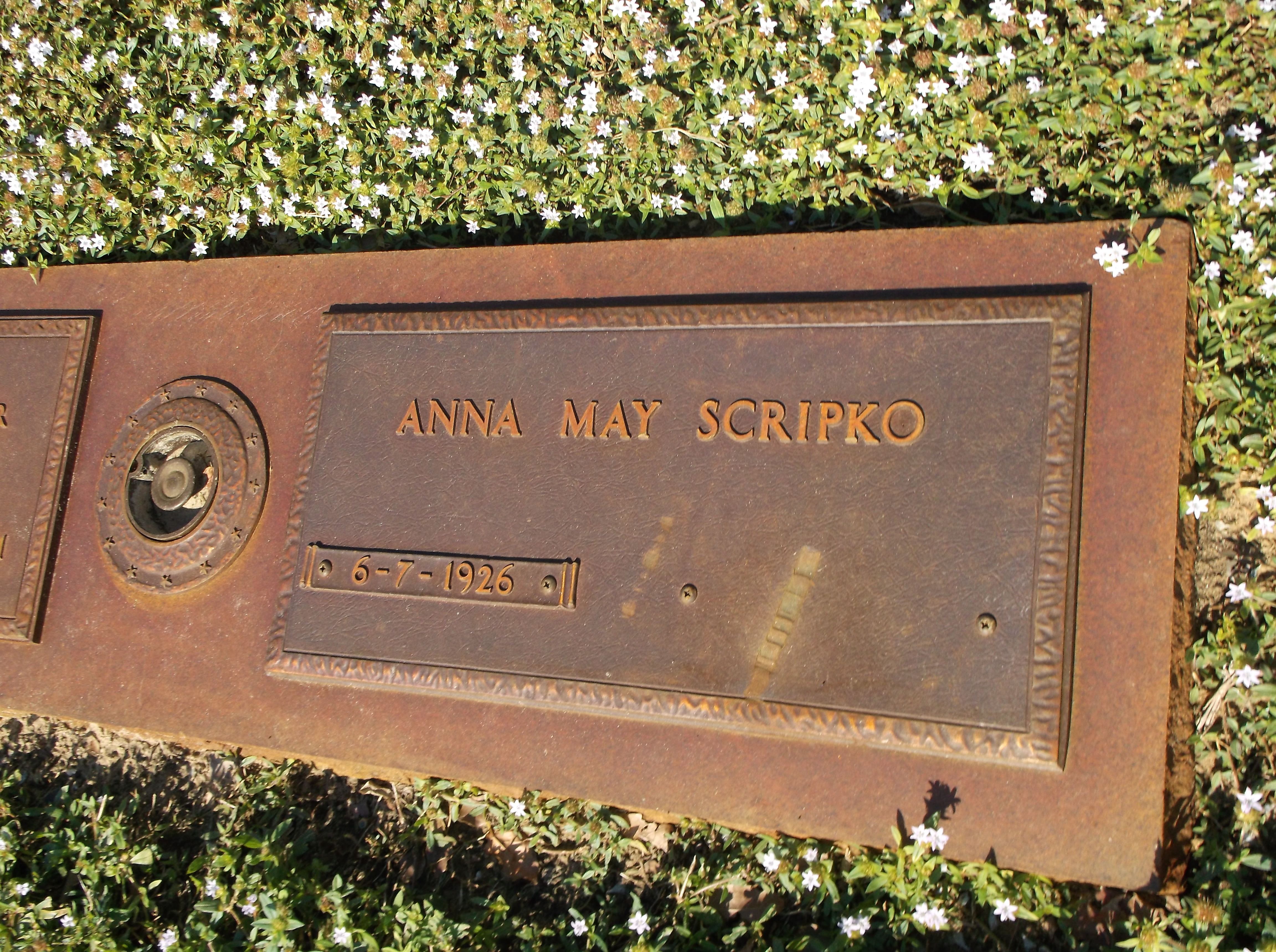 Anna May Scripko