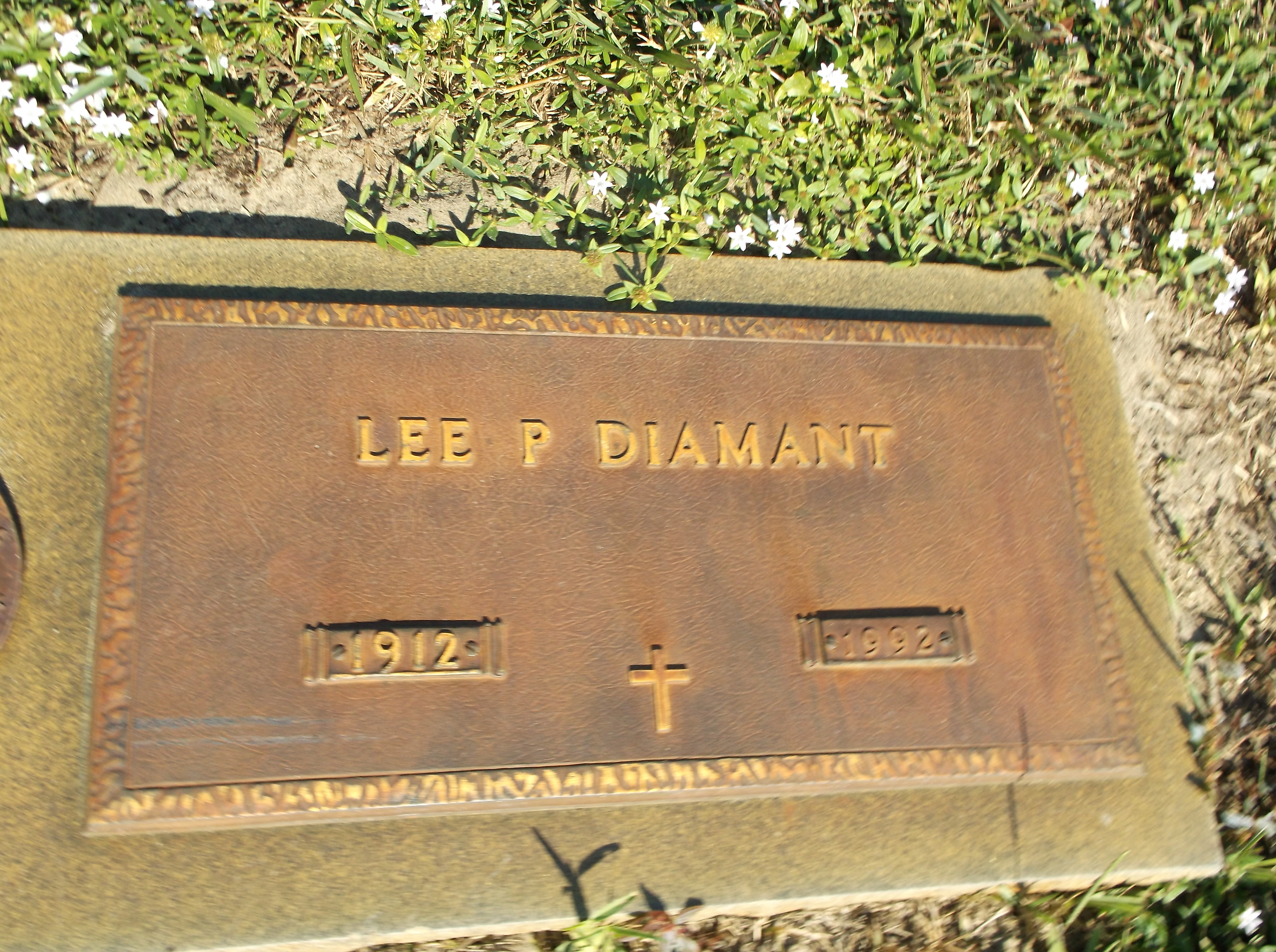 Lee P Diamant