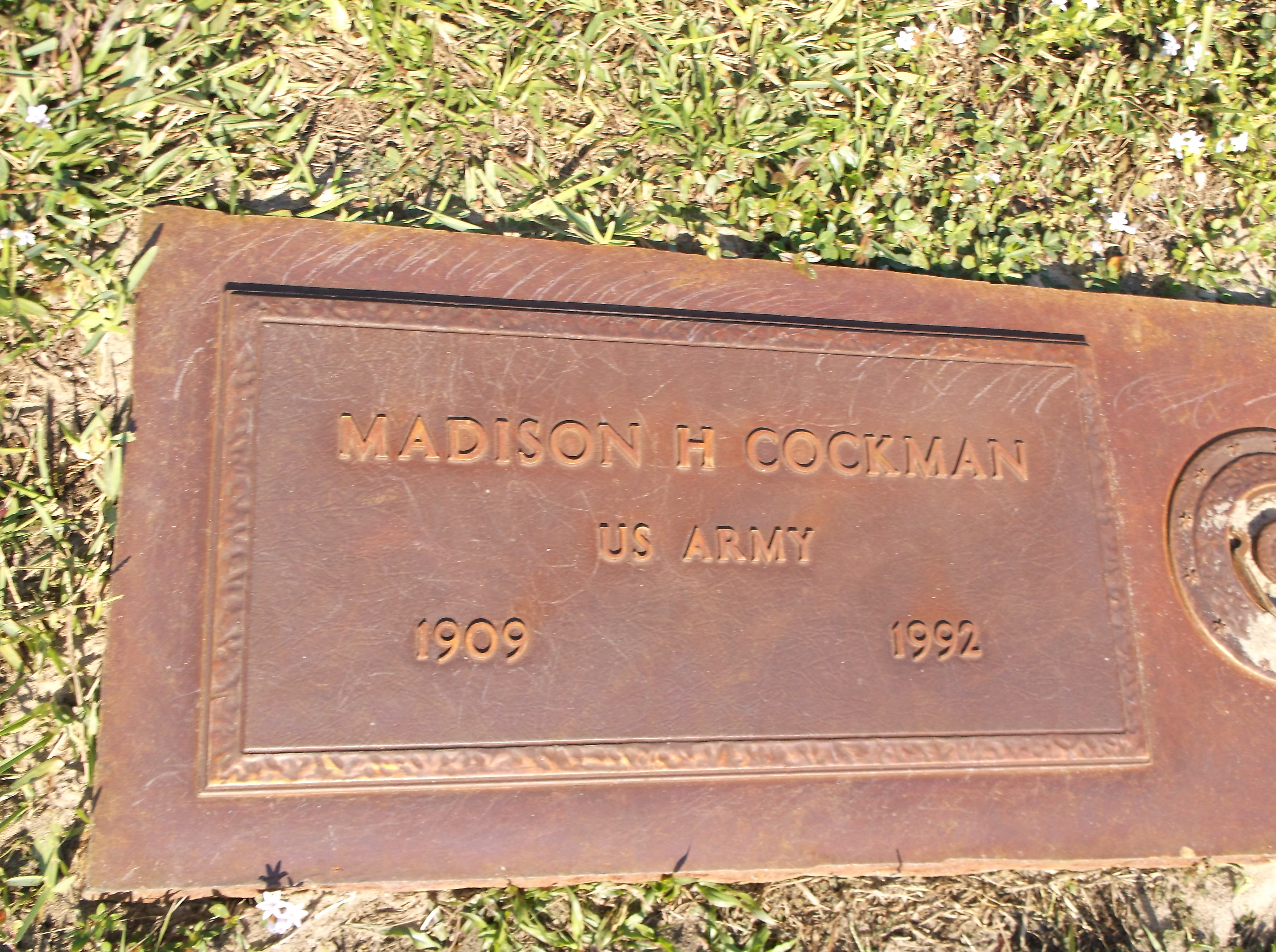Madison H Cockman