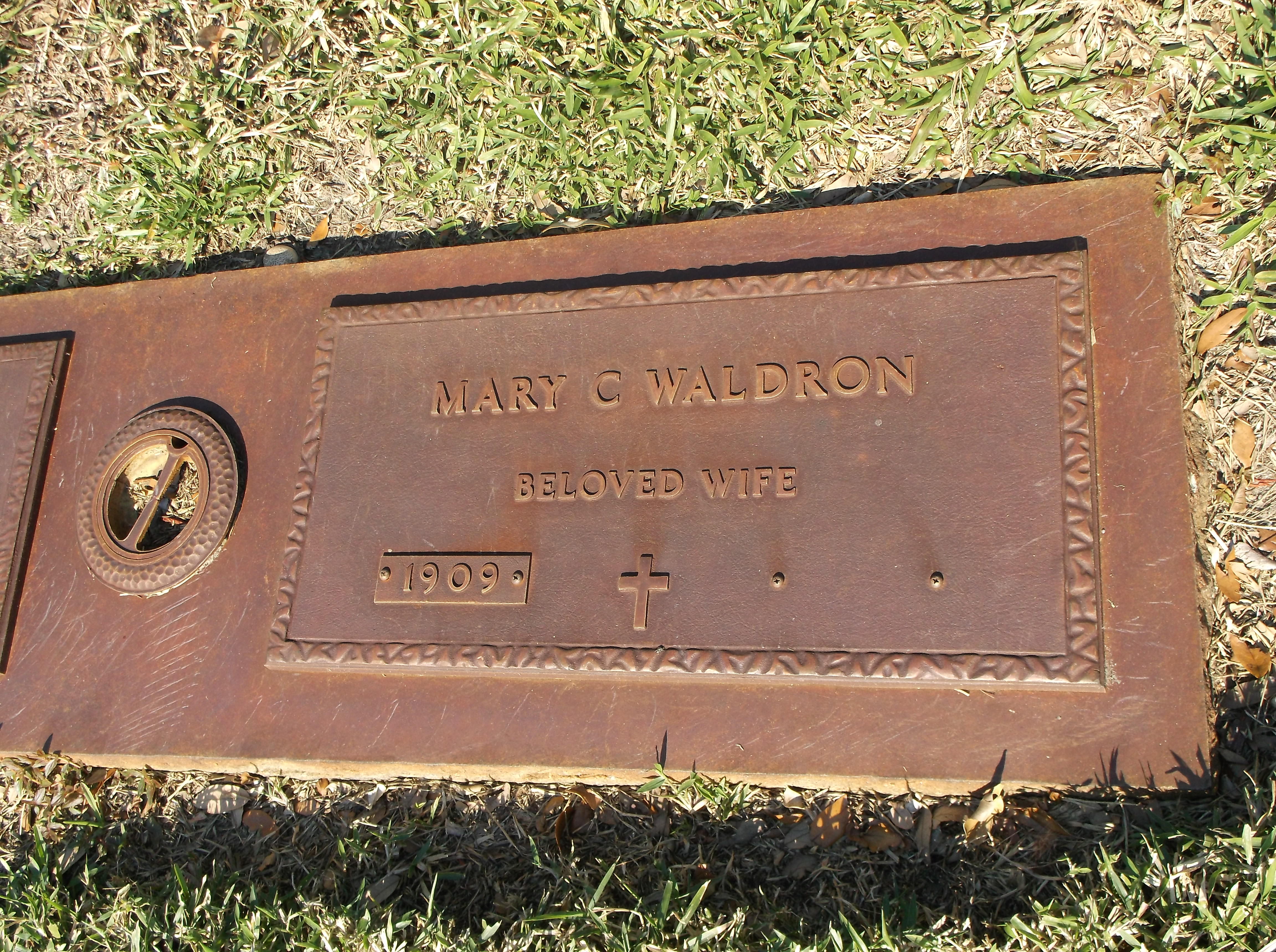 Mary C Waldron