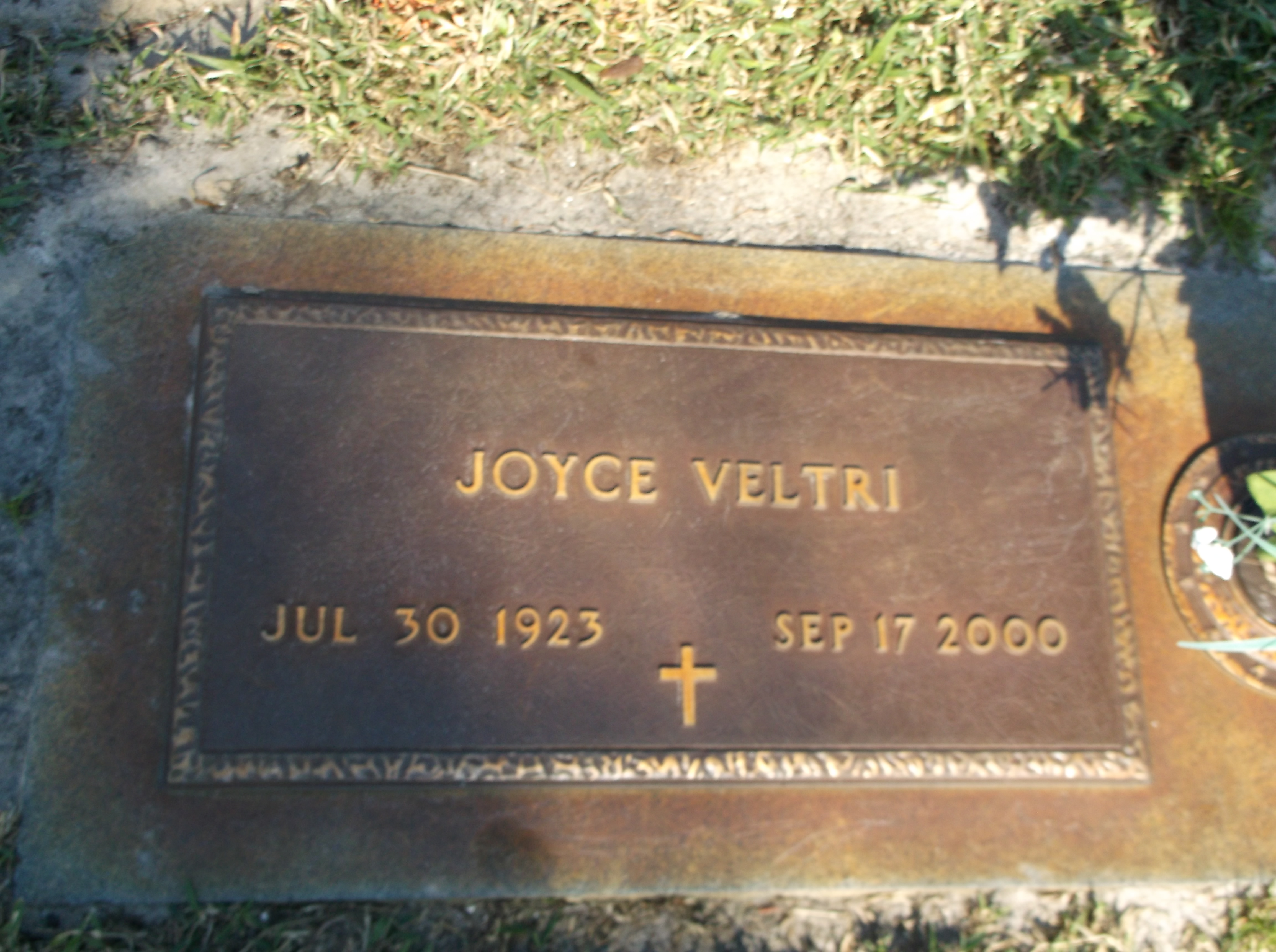 Joyce Veltri