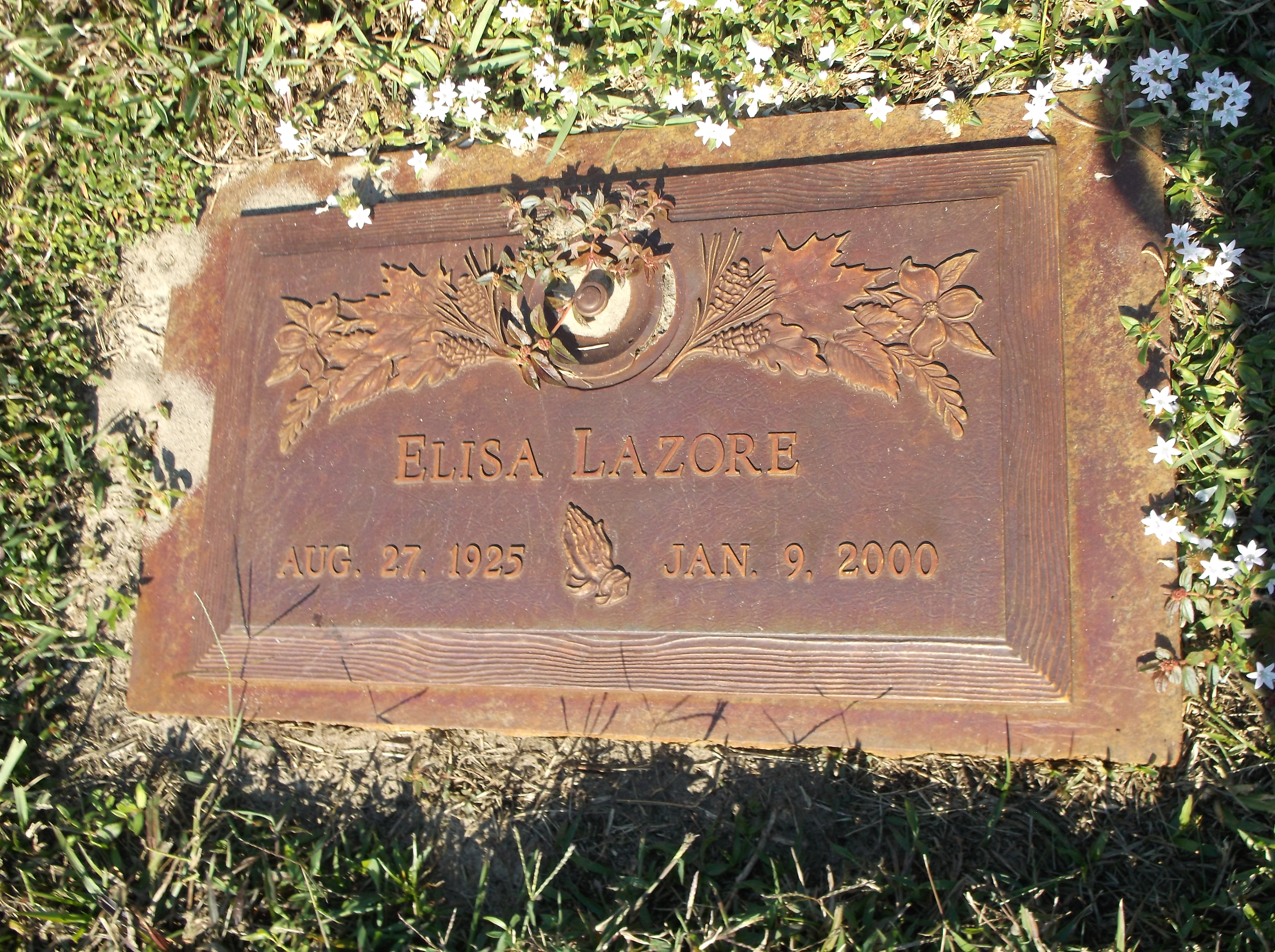 Elisa Lazore