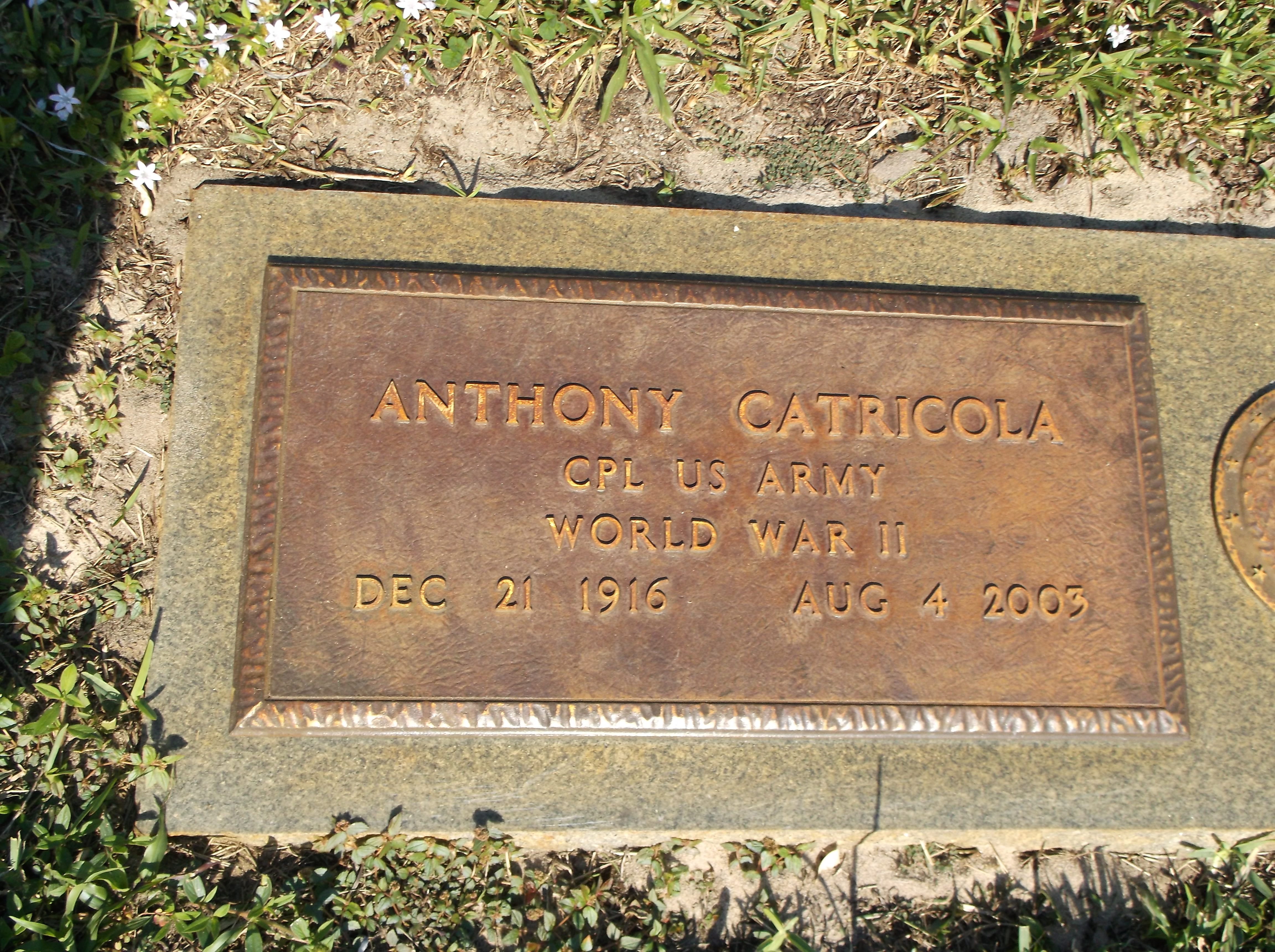 Anthony Catricola