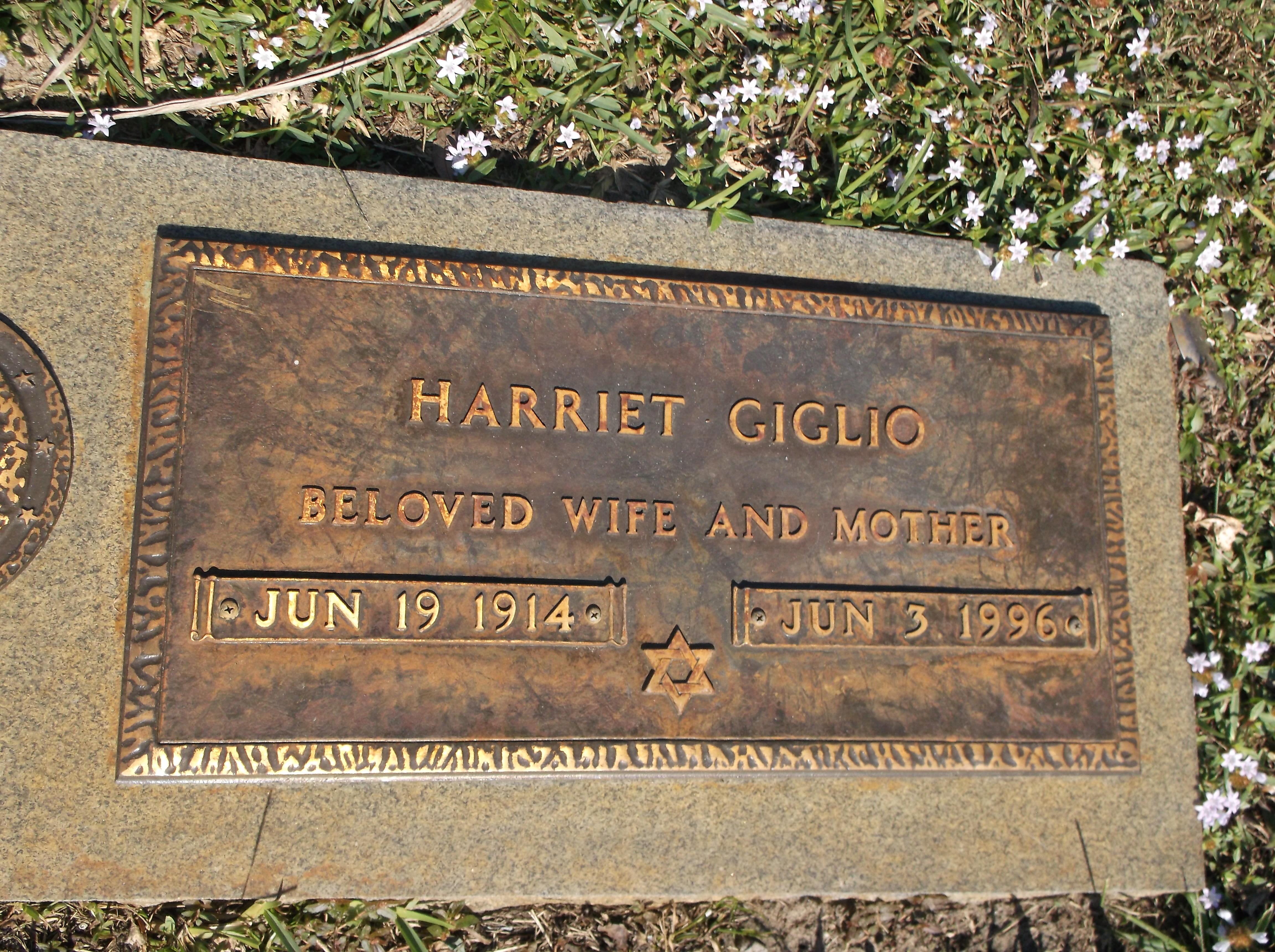 Harriet Giglio