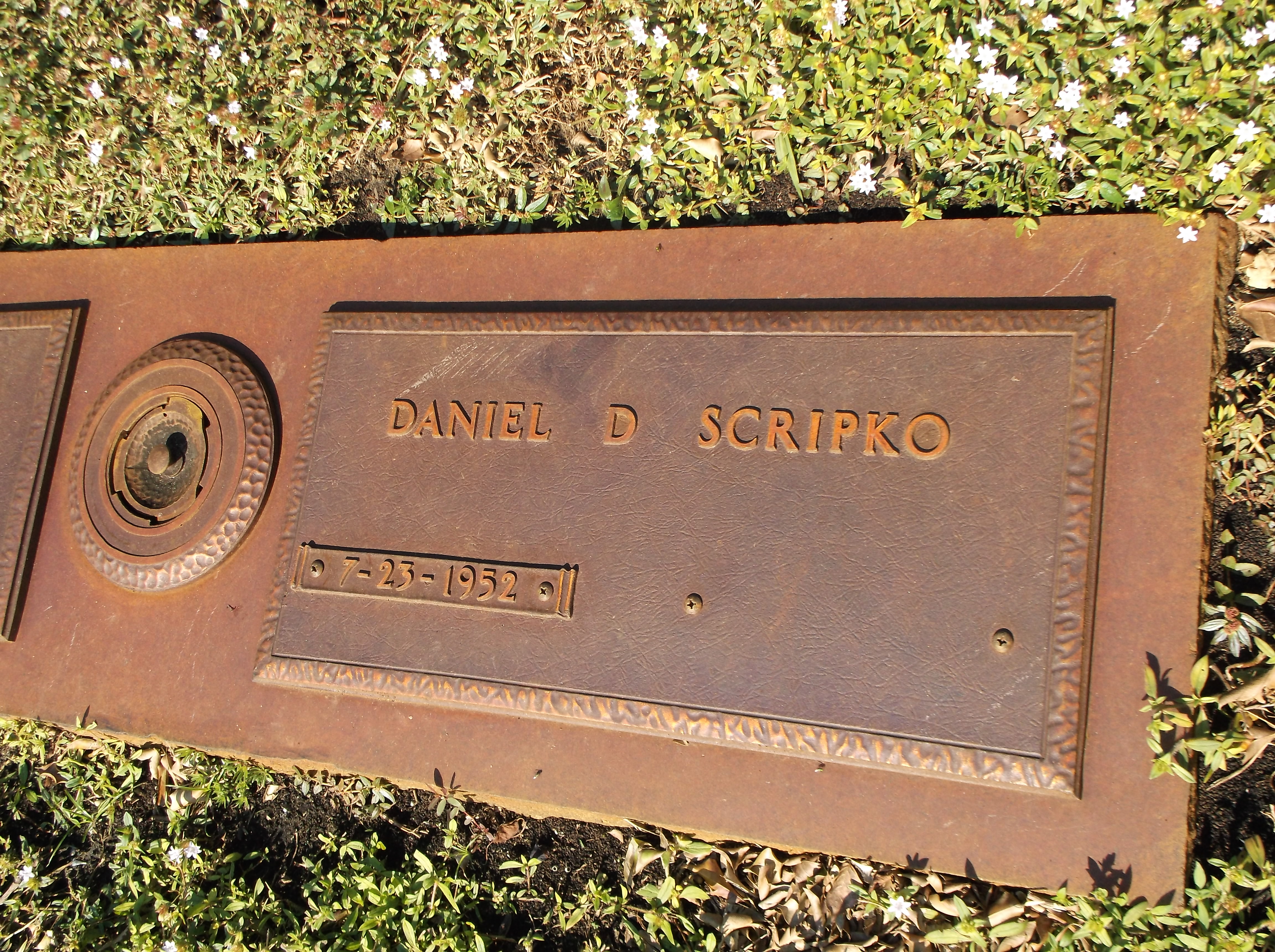 Daniel D Scripko