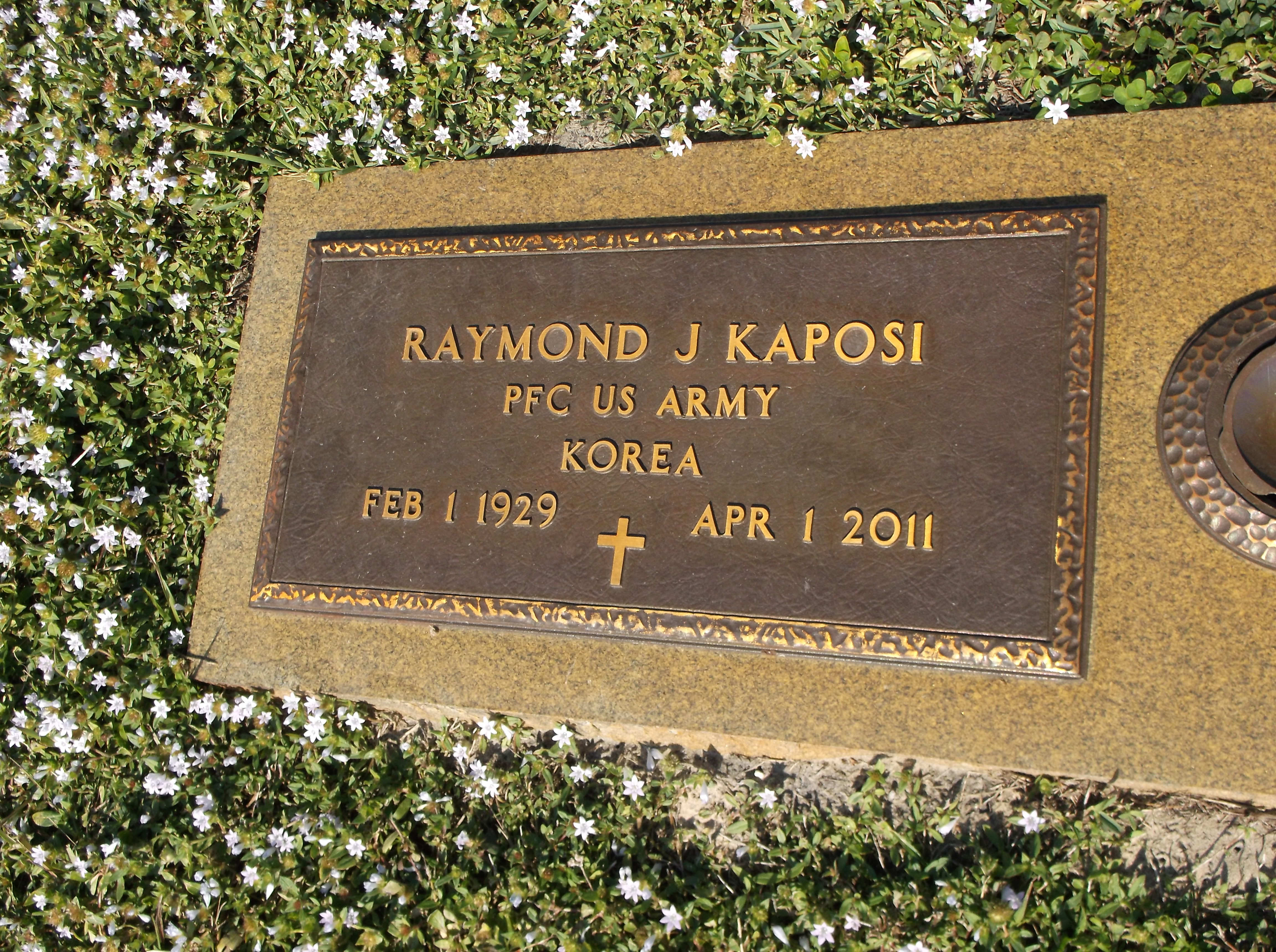 Raymond J Kaposi