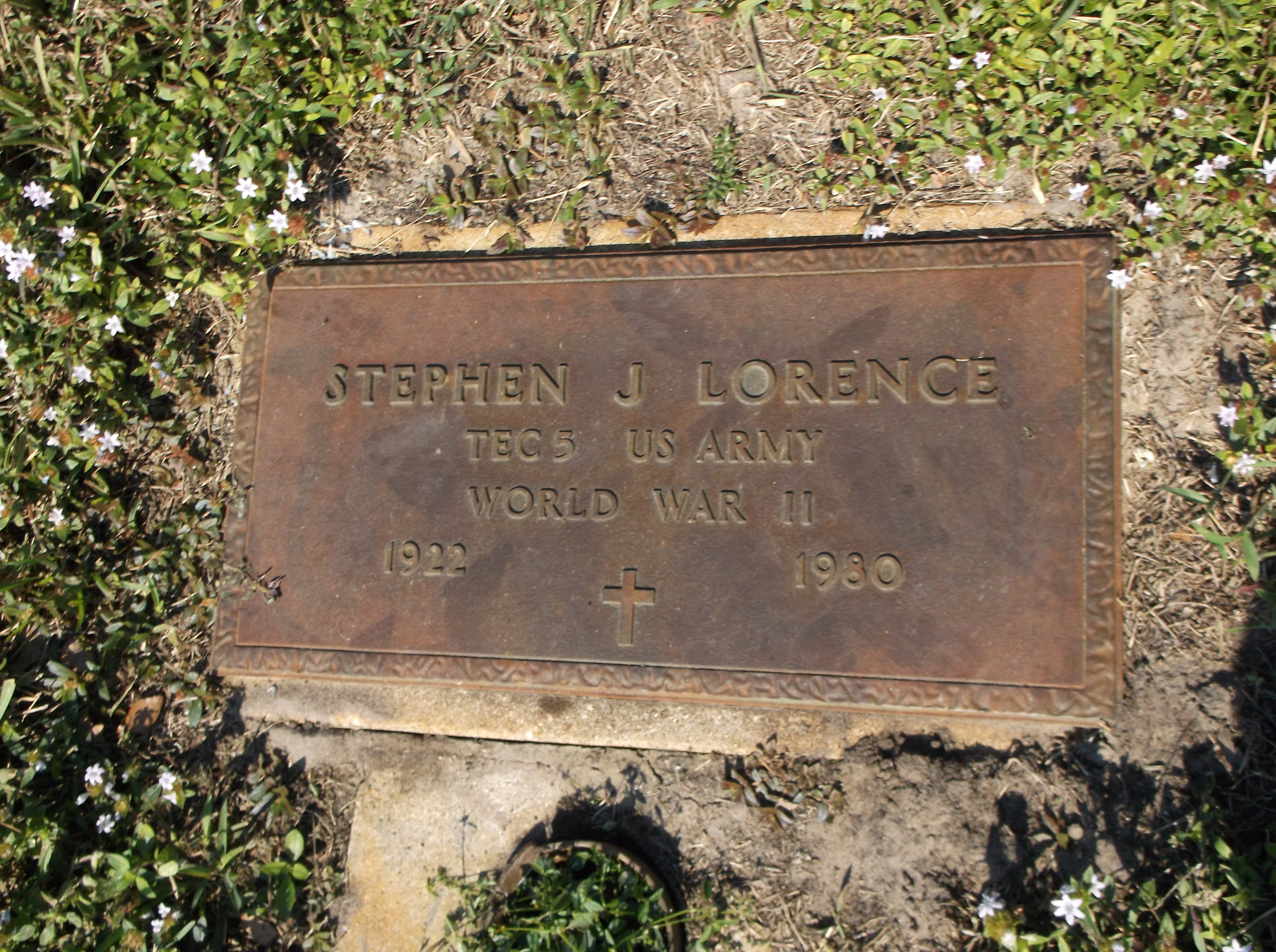 Stephen J Lorence