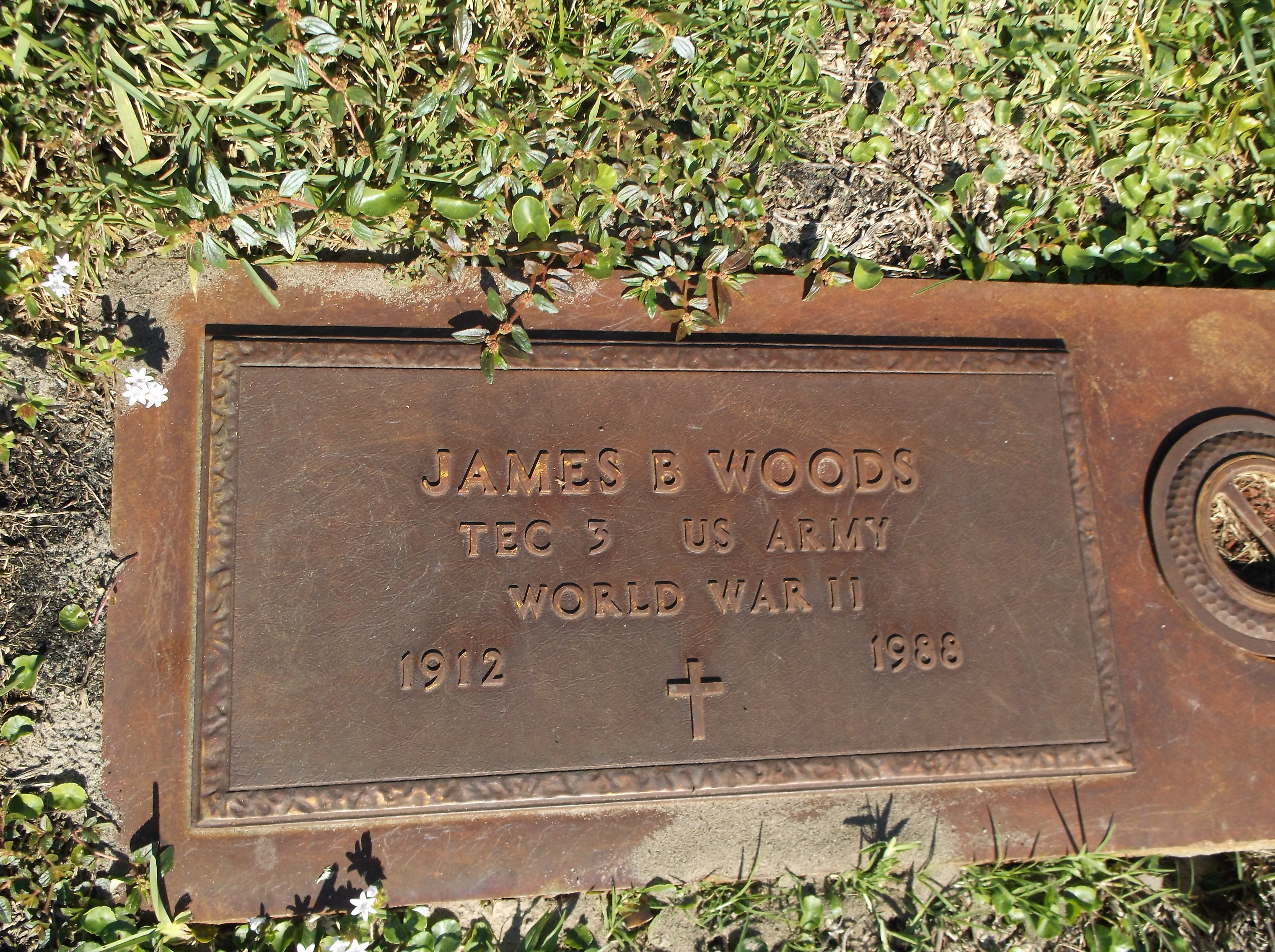 James B Woods