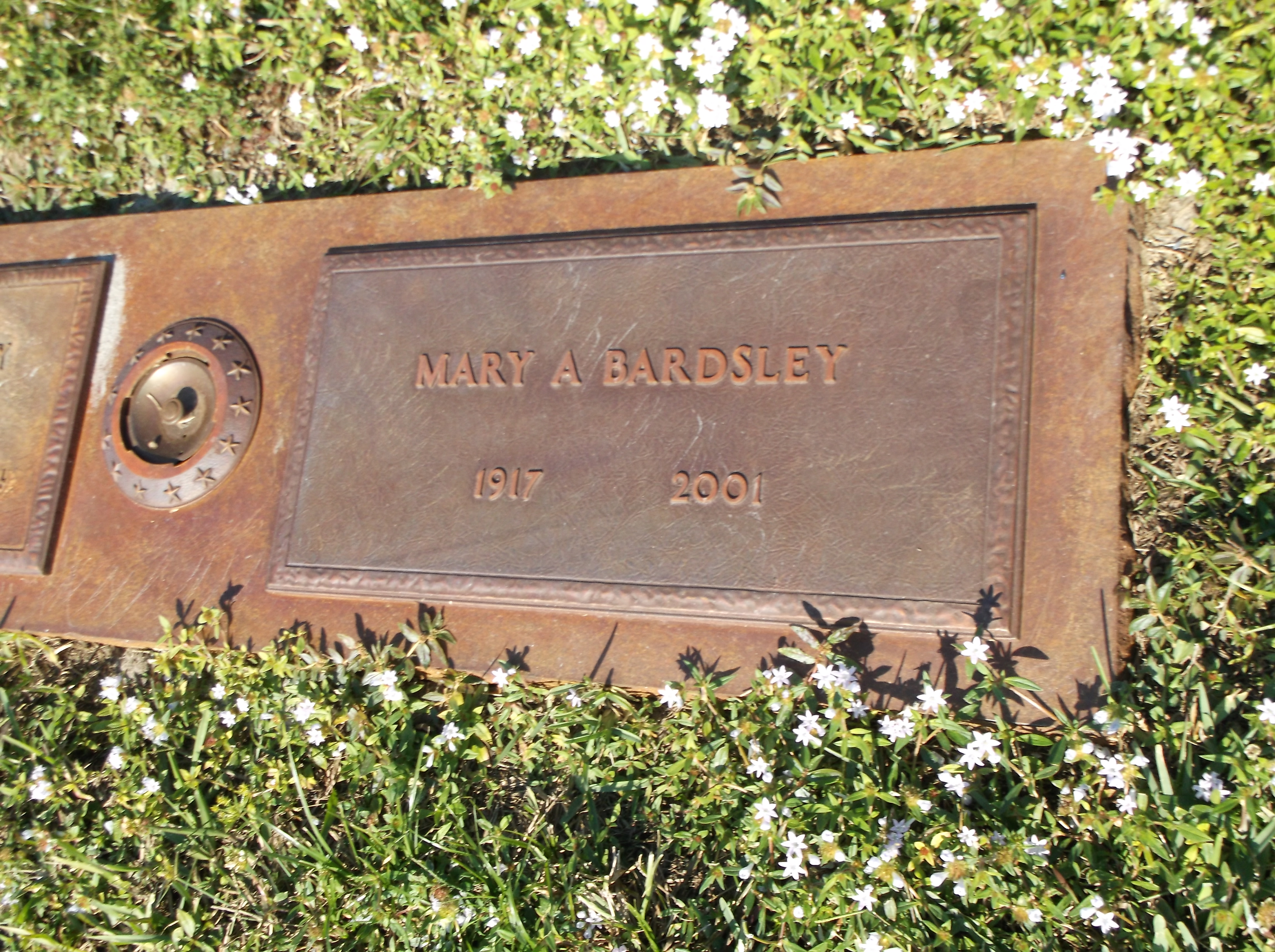 Mary A Bardsley