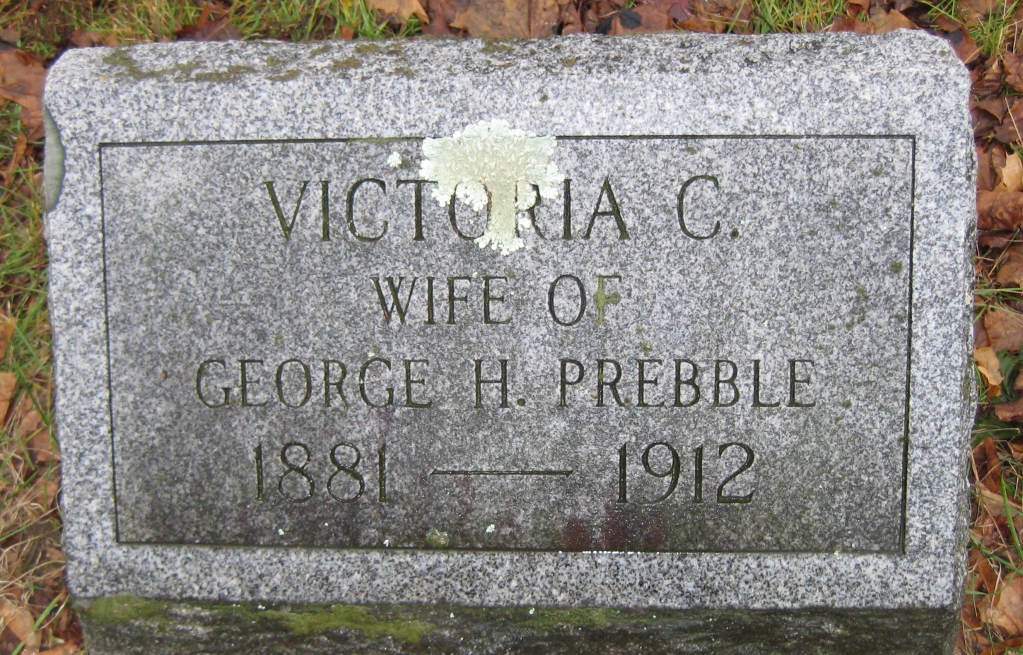 Victoria C Prebble