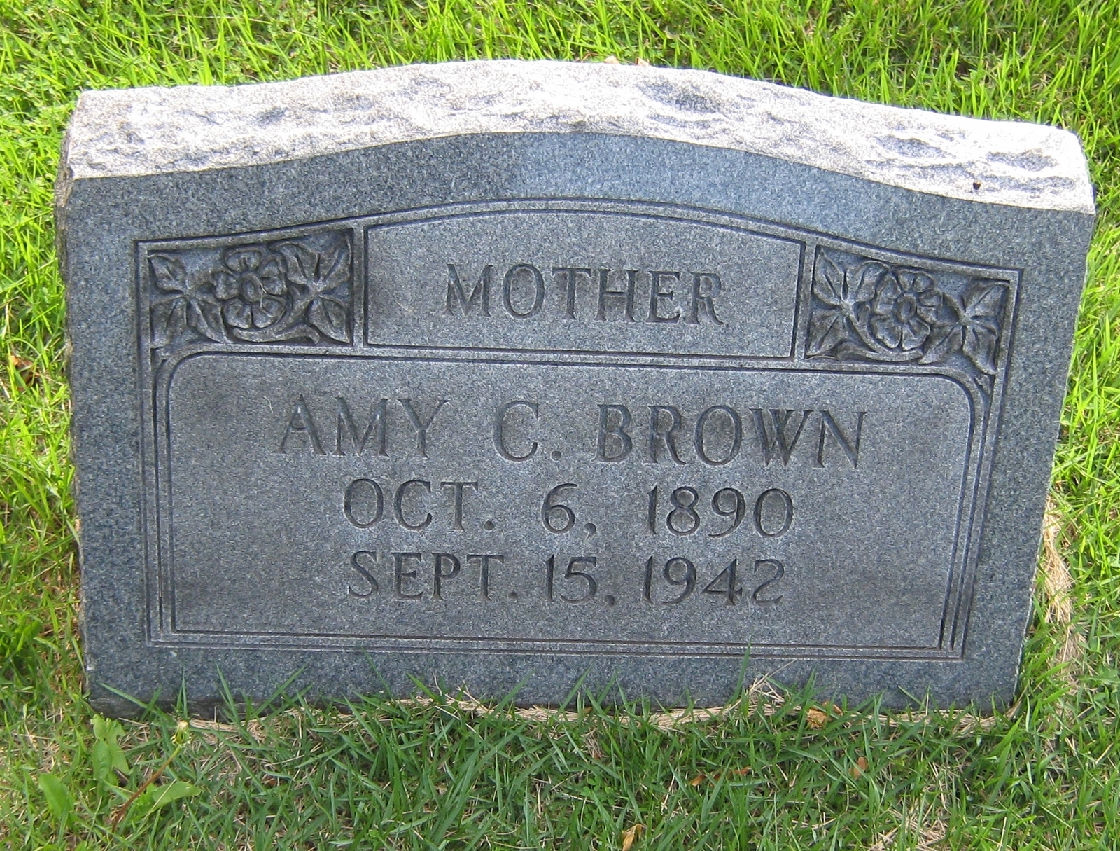 Amy C Brown