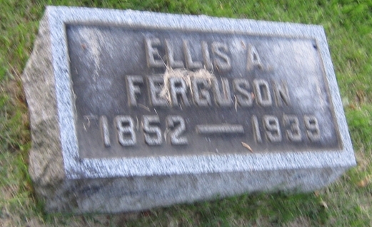 Ellis A Ferguson