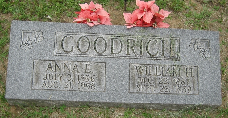 Anna E Goodrich