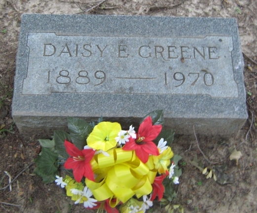 Daisy E Greene