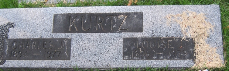 Louise J Kurtz