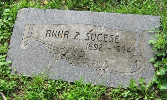 Anna Z Sucese