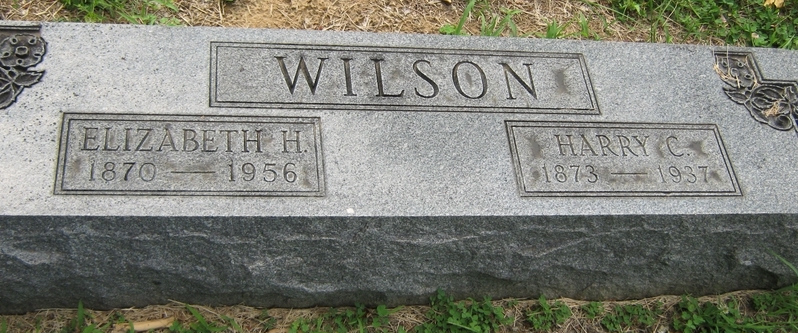 Elizabeth H Wilson
