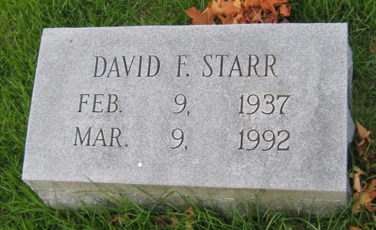 David F Starr
