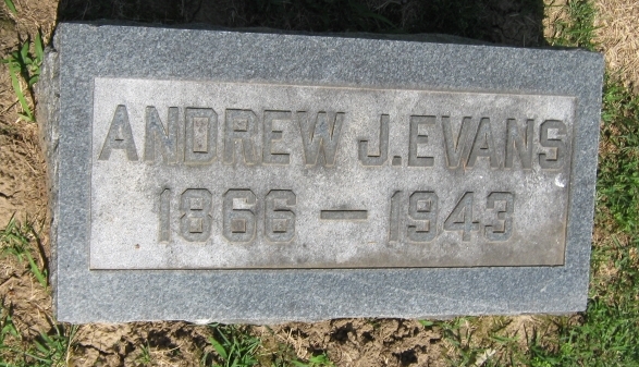 Andrew J Evans