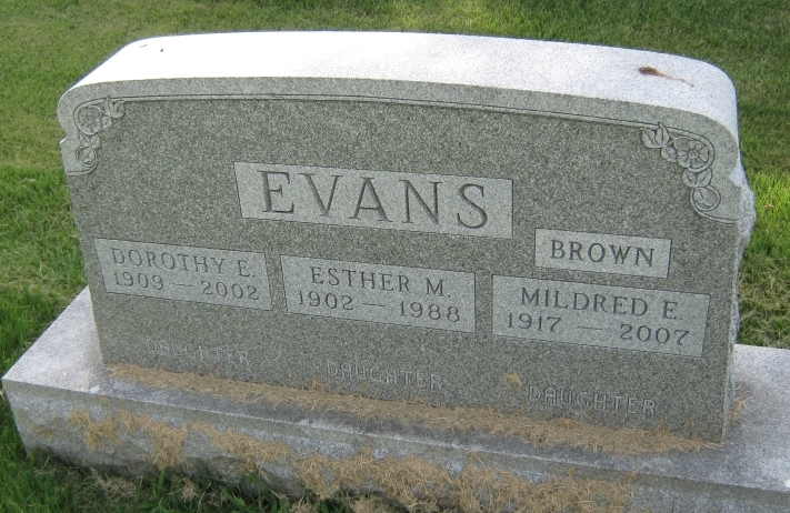 Dorothy E Evans