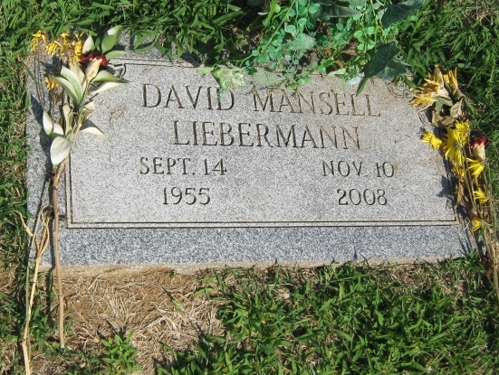 David Mansell Liebermann