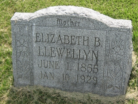 Elizabeth B Llewellyn