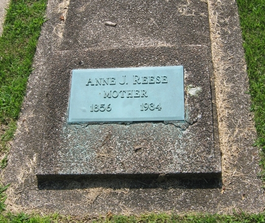 Anne J Reese