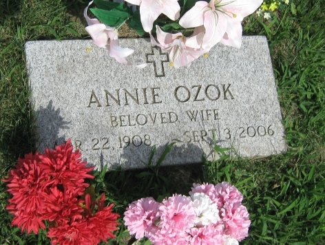 Annie Ozok