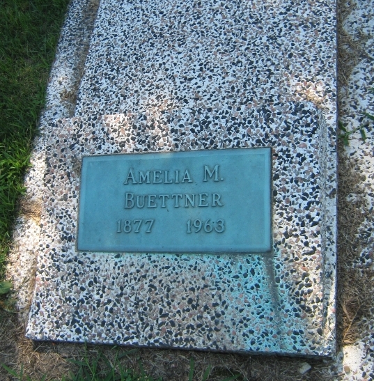 Amelia M Buettner