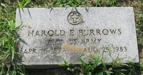Harold E Burrows