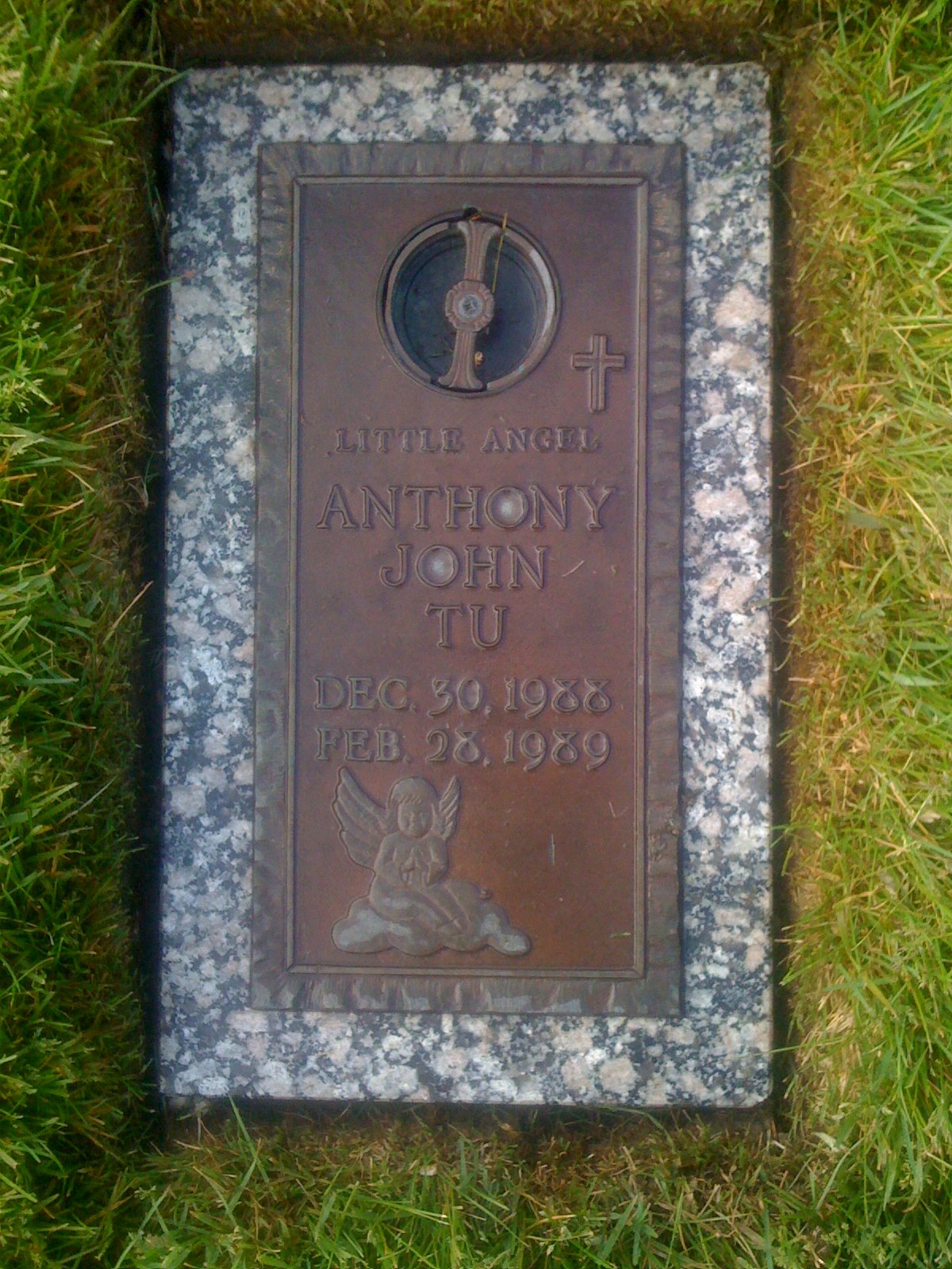 Anthony John Tu