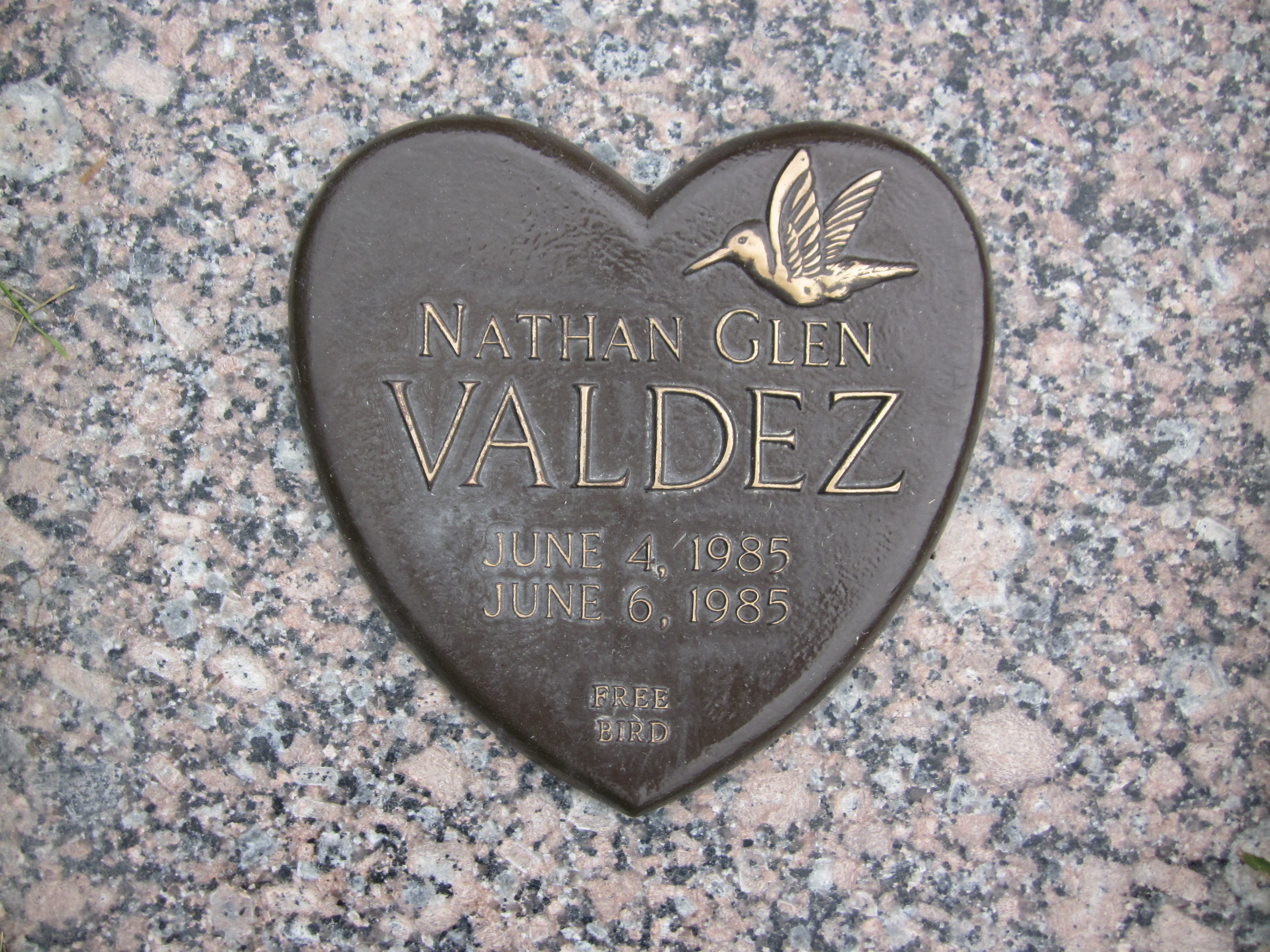 Nathan Glen Valdez