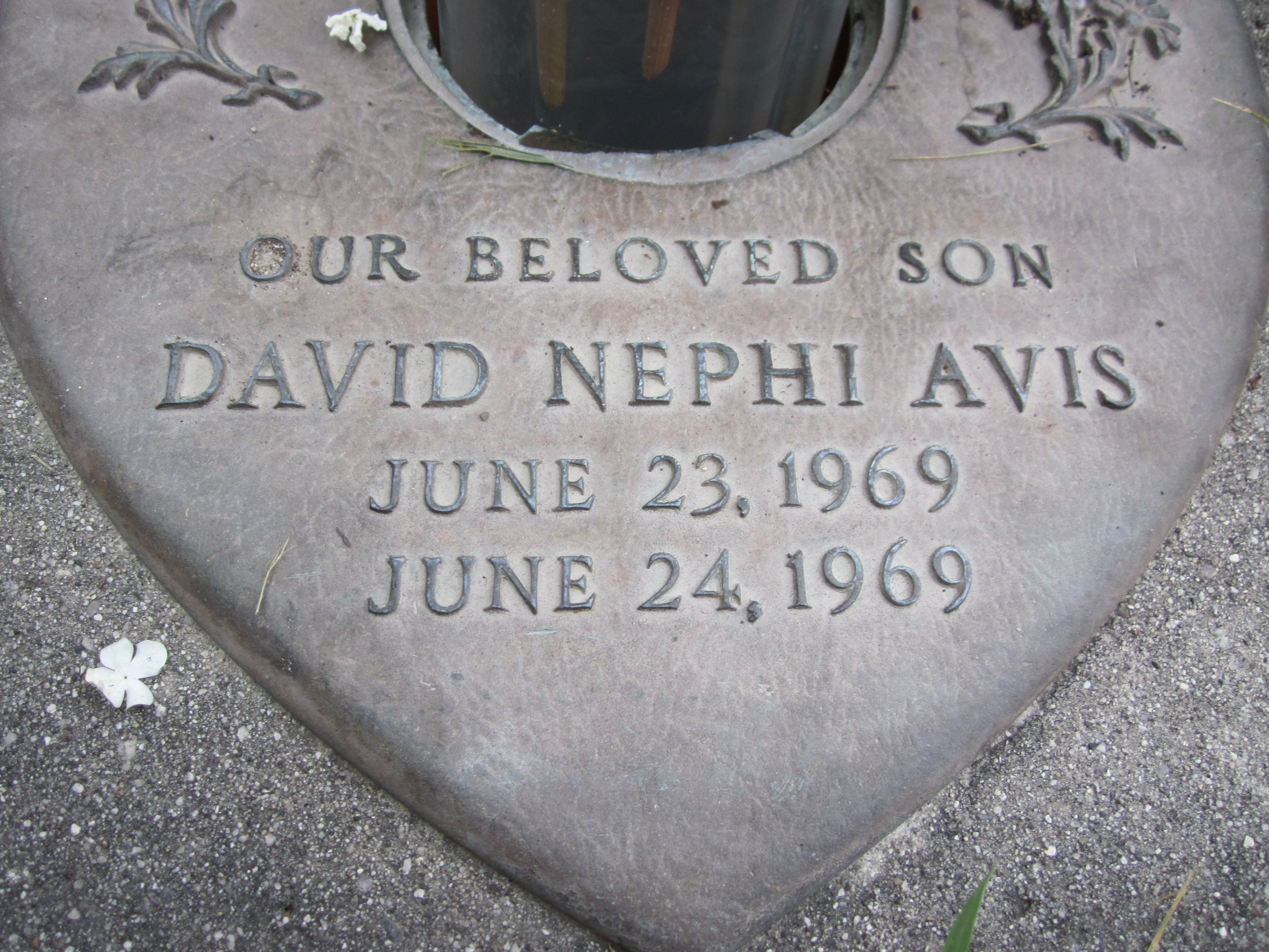 David Nephi Avis