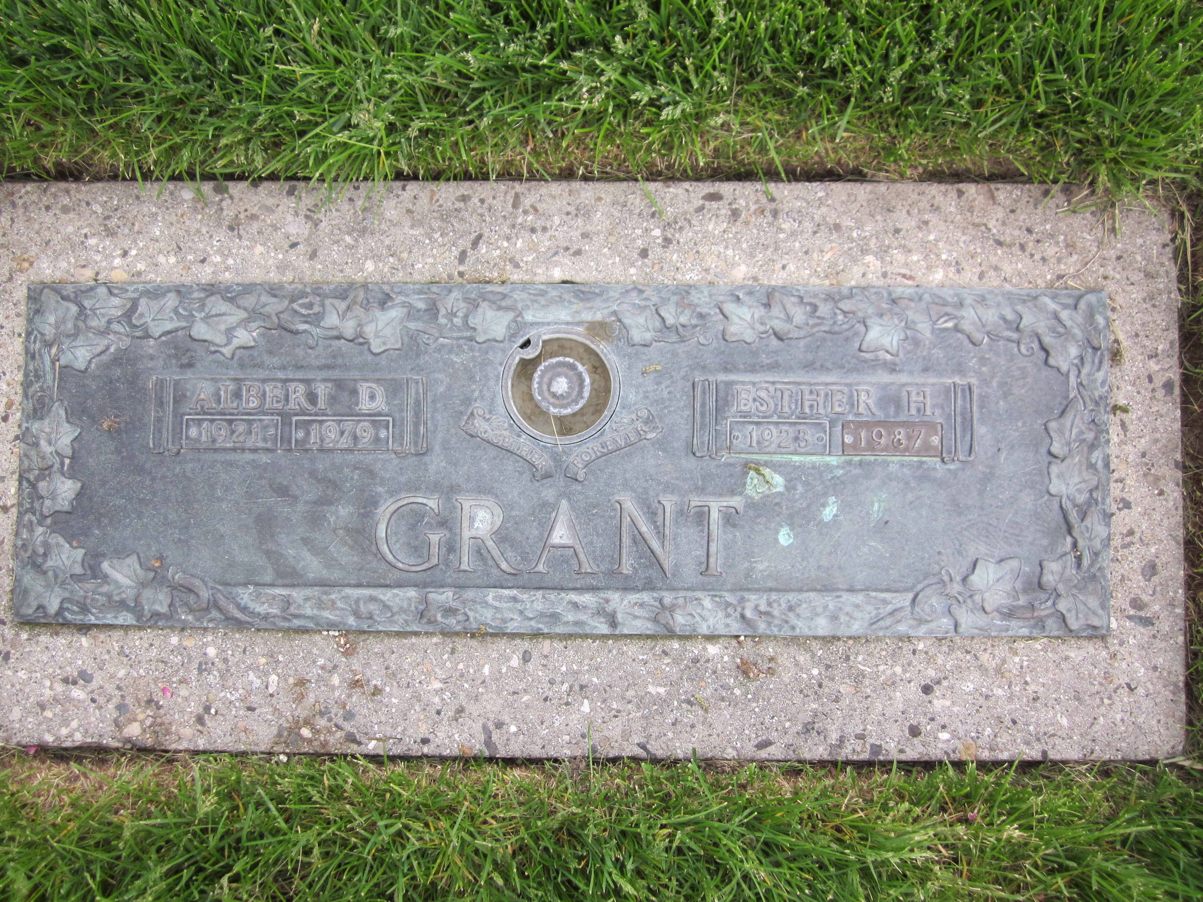 Albert D Grant