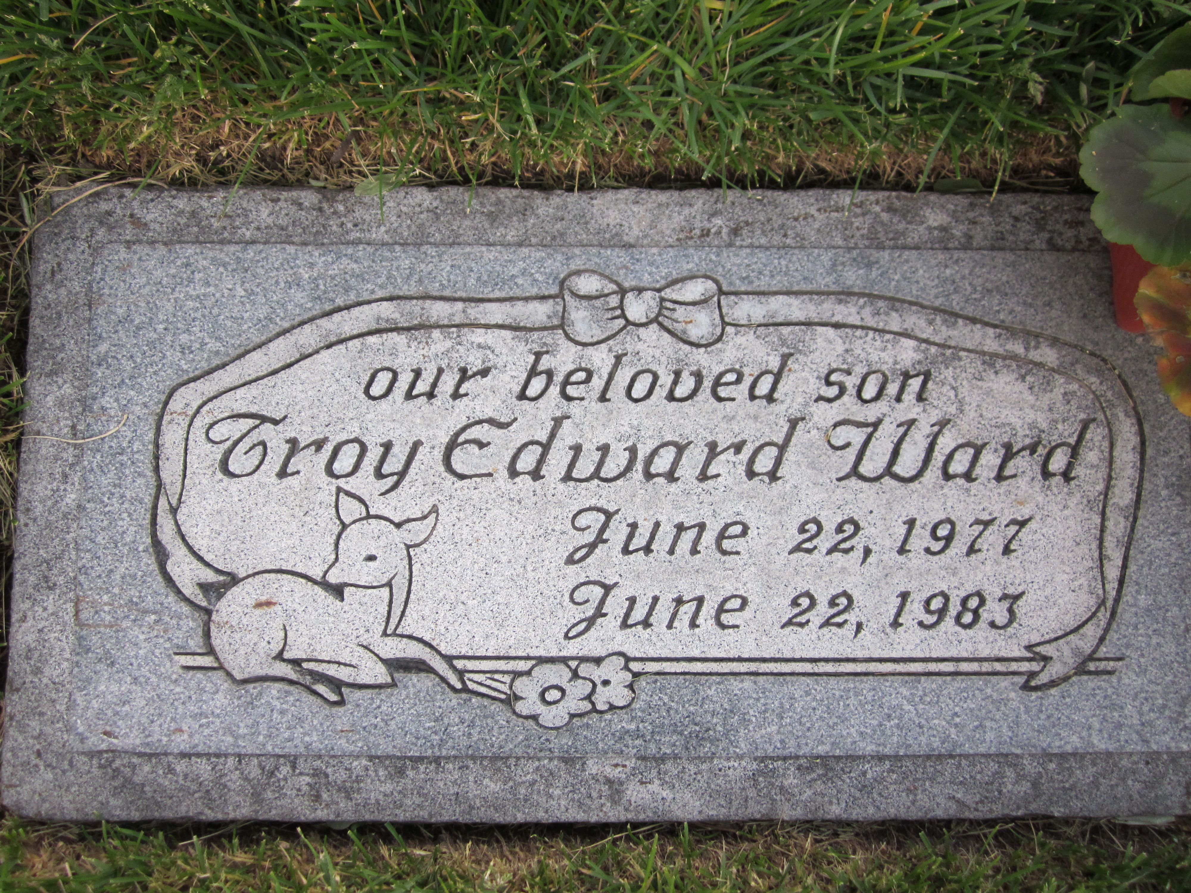 Troy Edward Ward