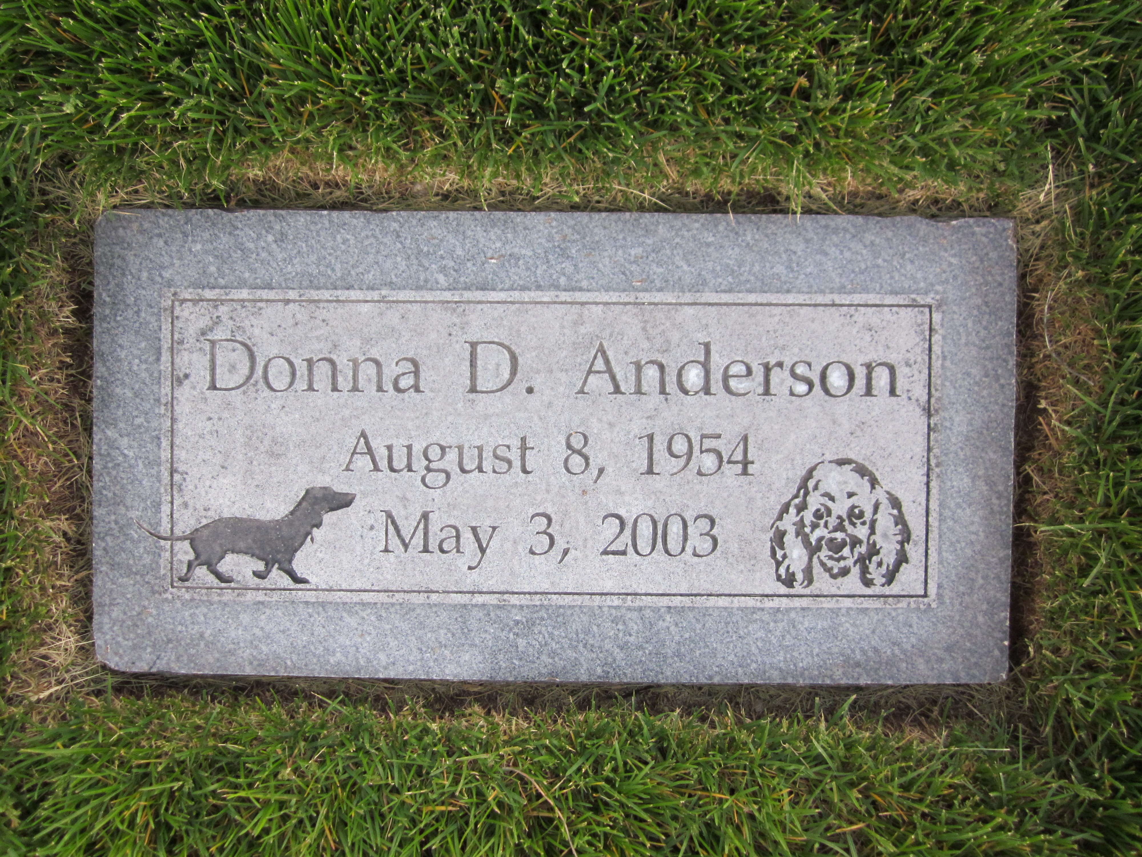 Donna D Anderson