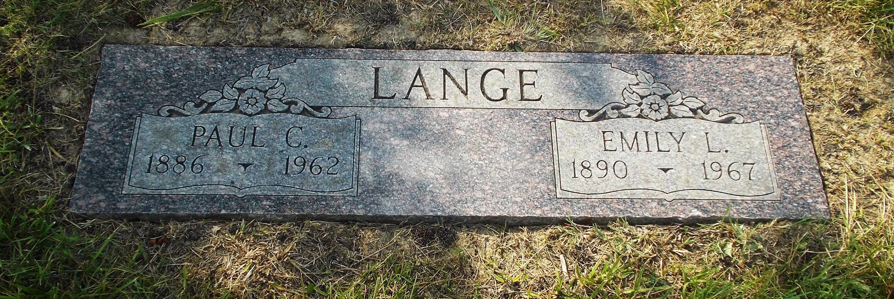 Paul C Lange