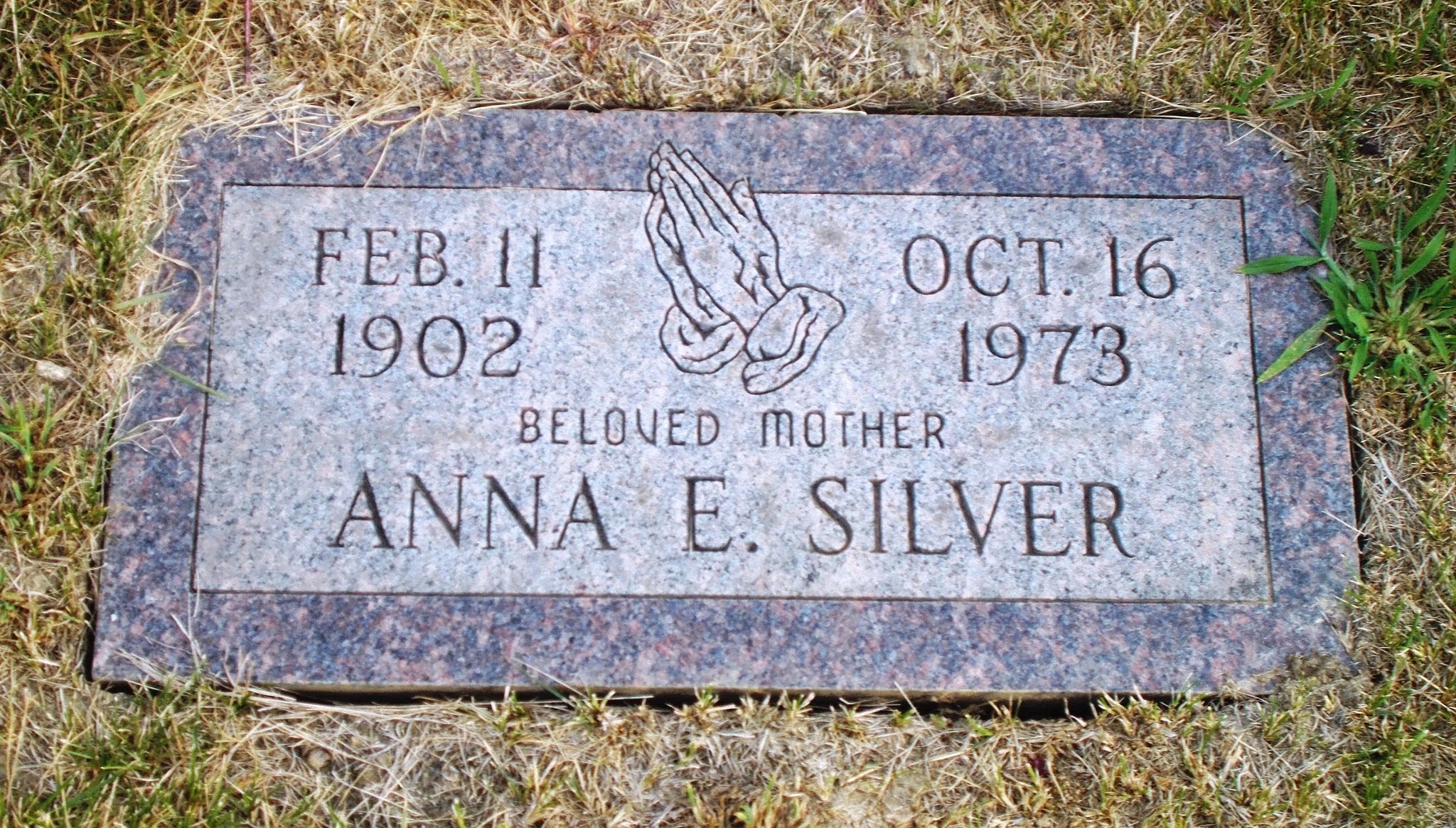 Anna E Silver