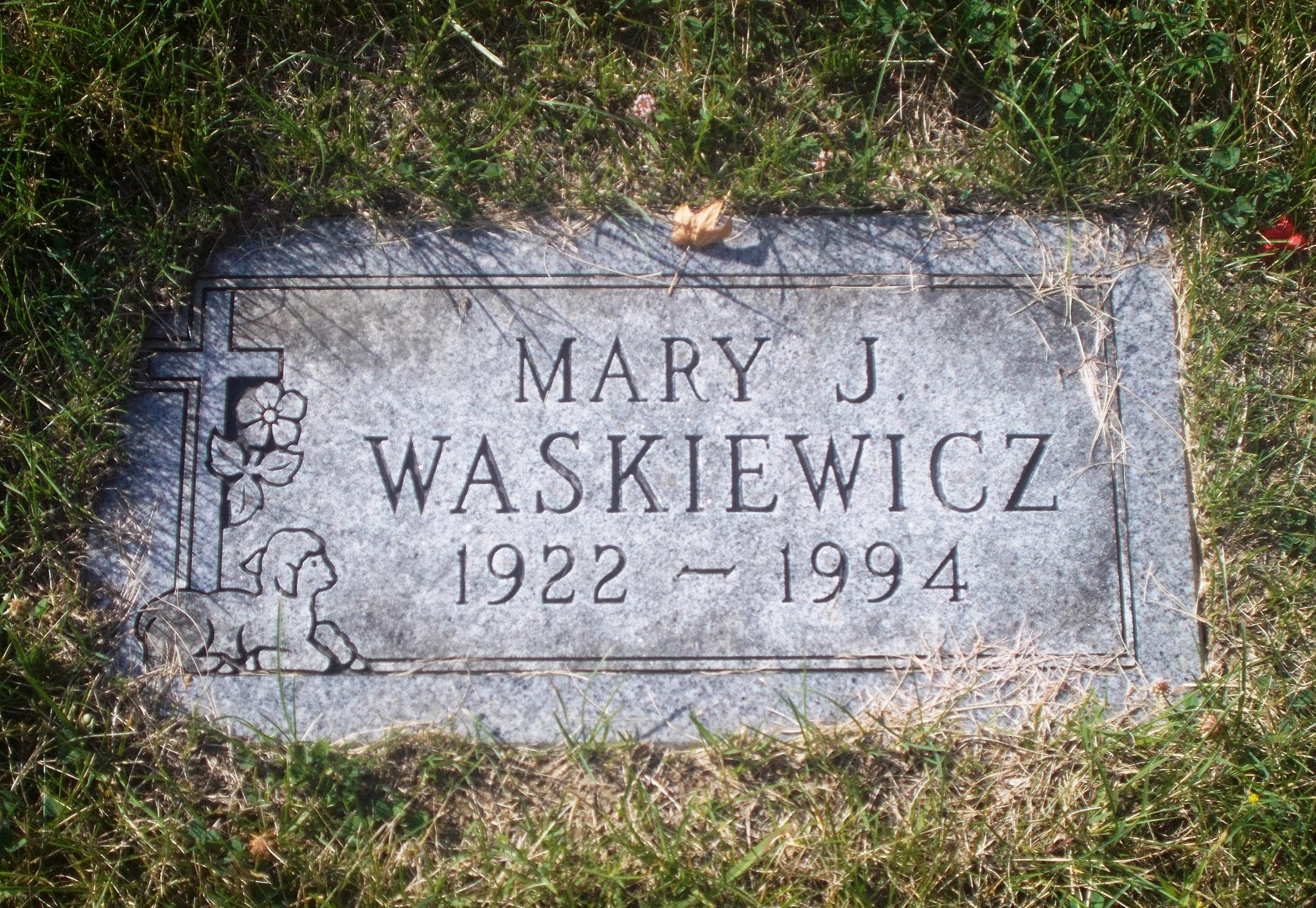 Mary J Waskiewicz