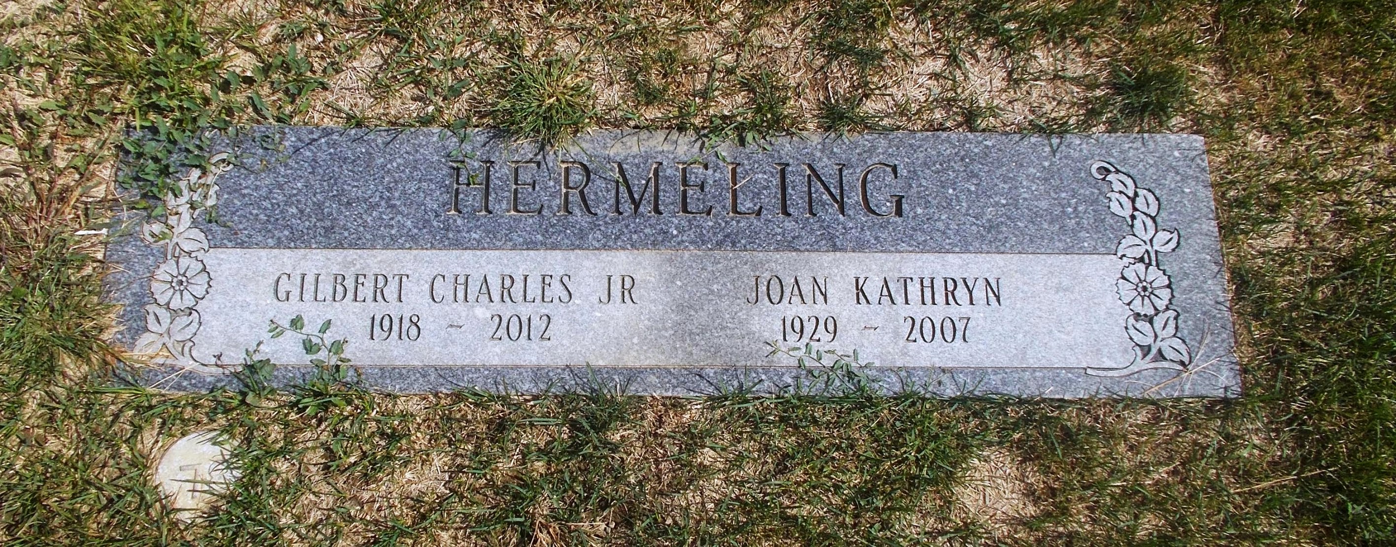 Joan Kathryn Hermeling