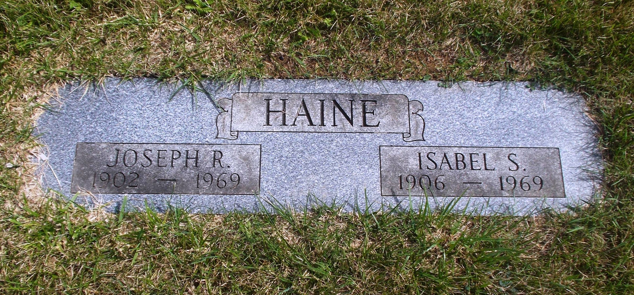 Isabel S Haine
