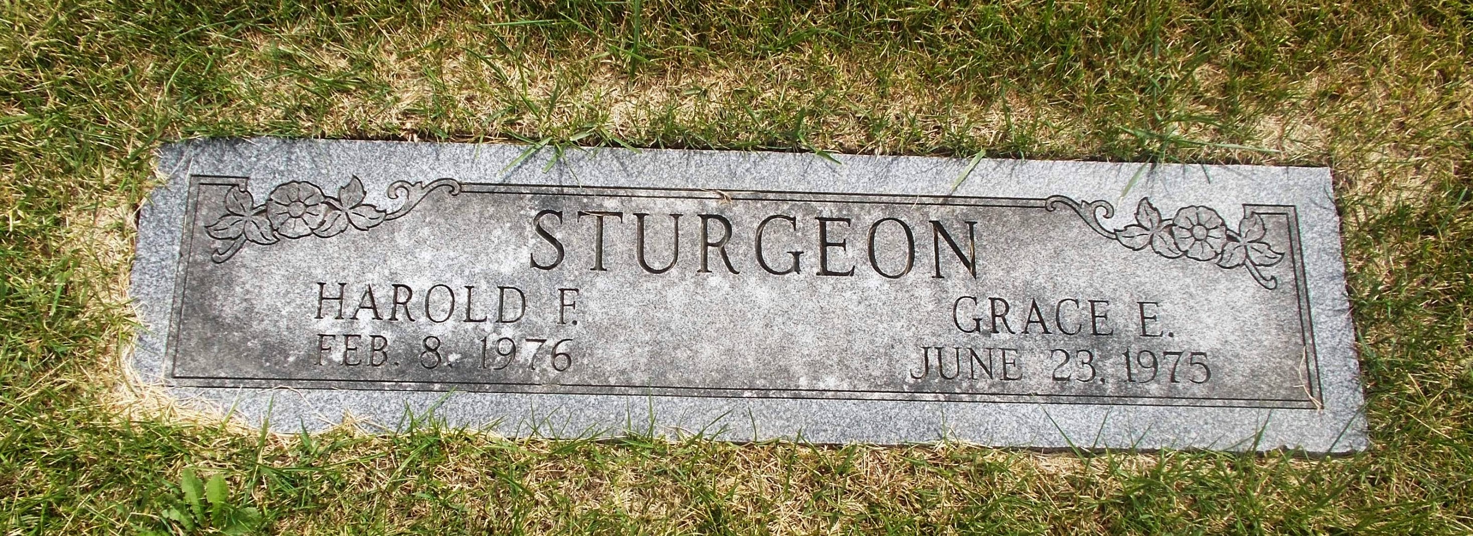 Grace E Sturgeon