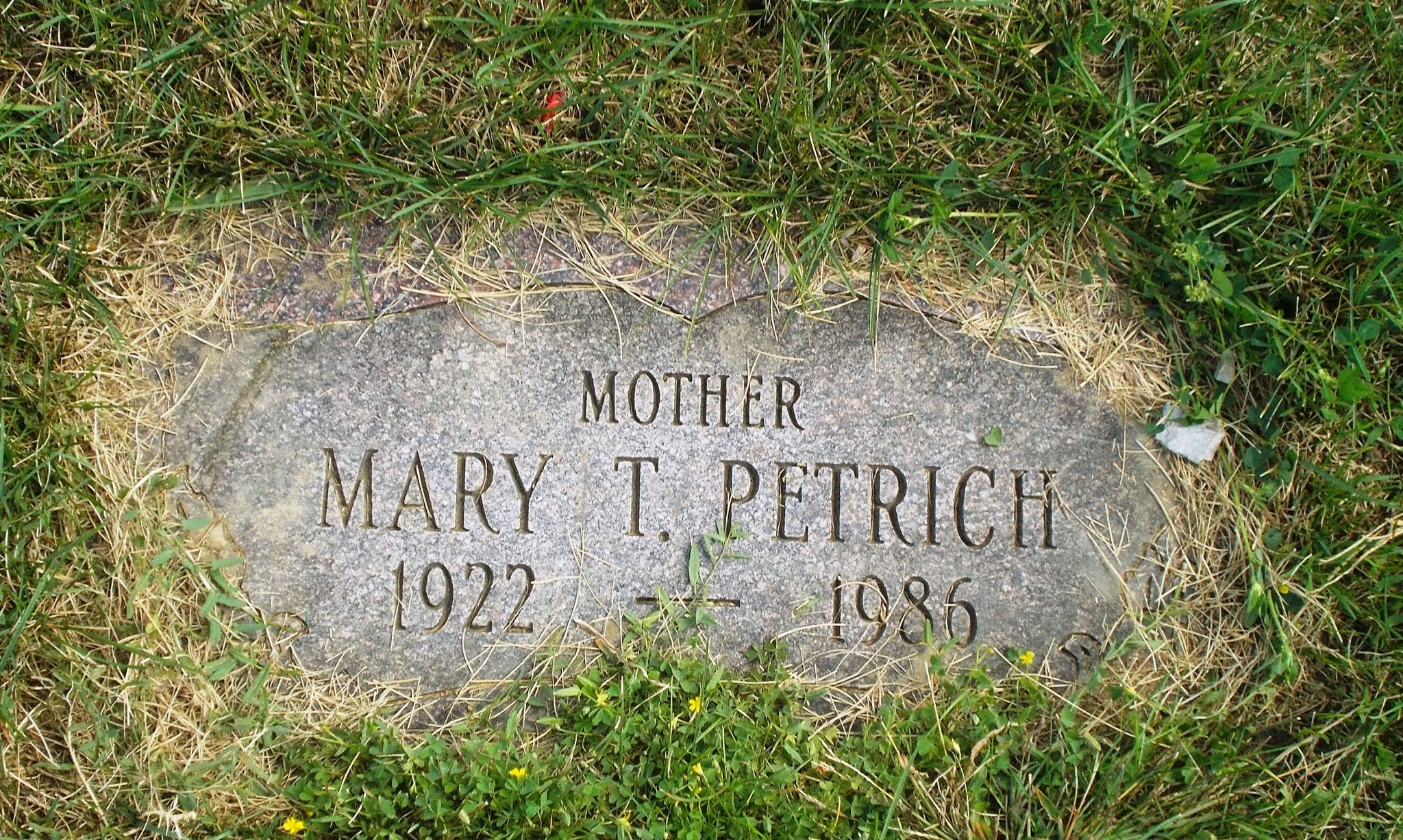 Mary T Petrich