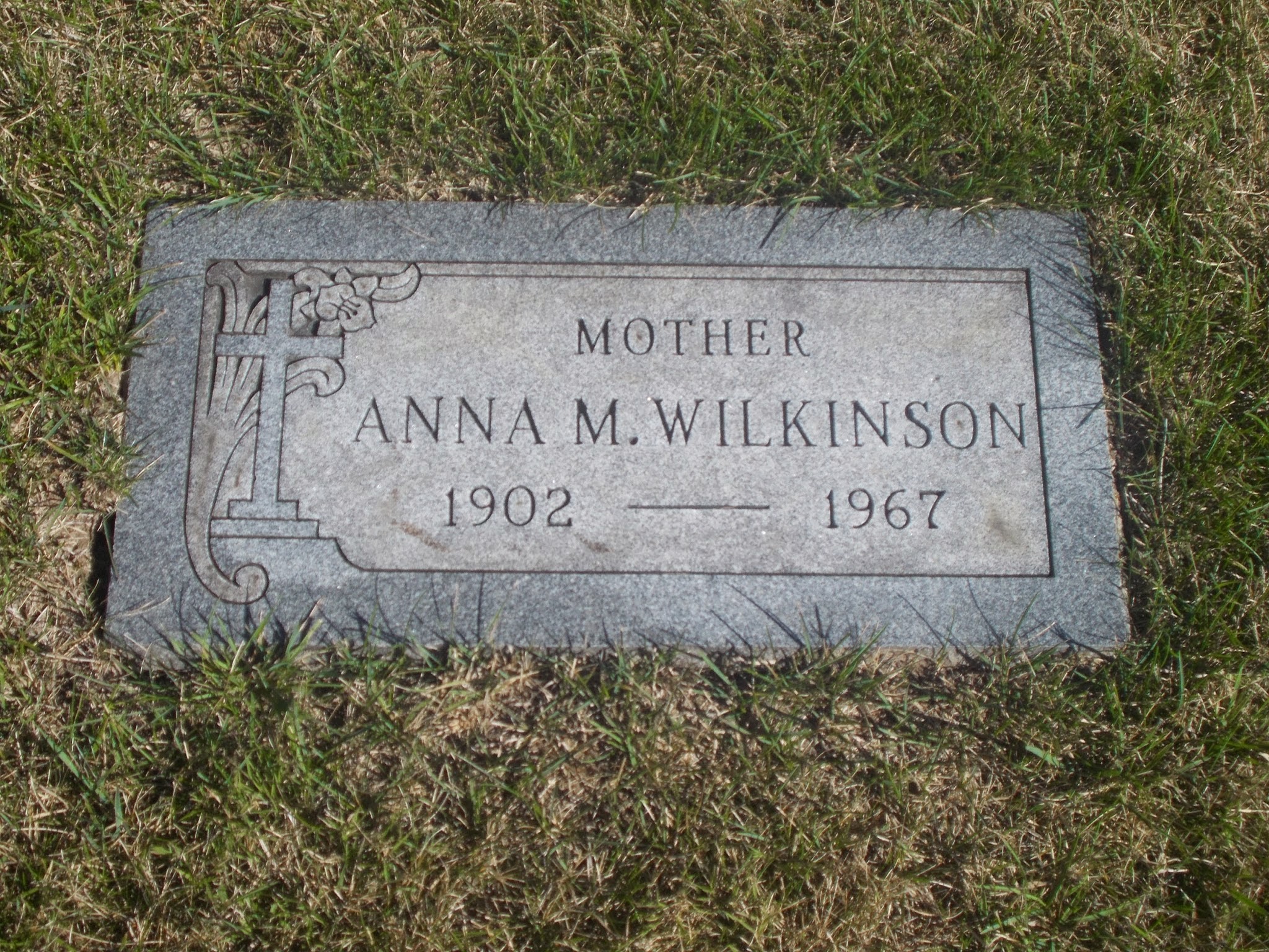 Anna M Wilkinson