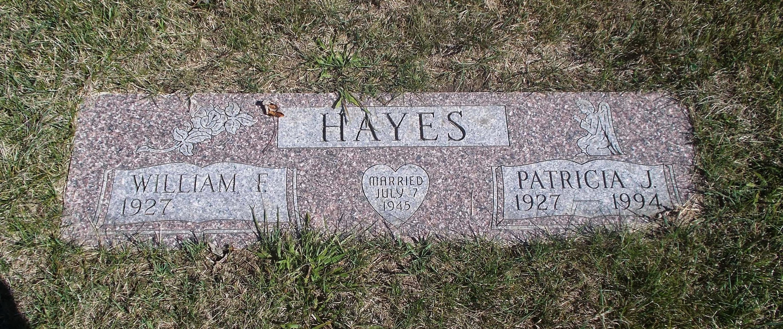 Patricia J Hayes